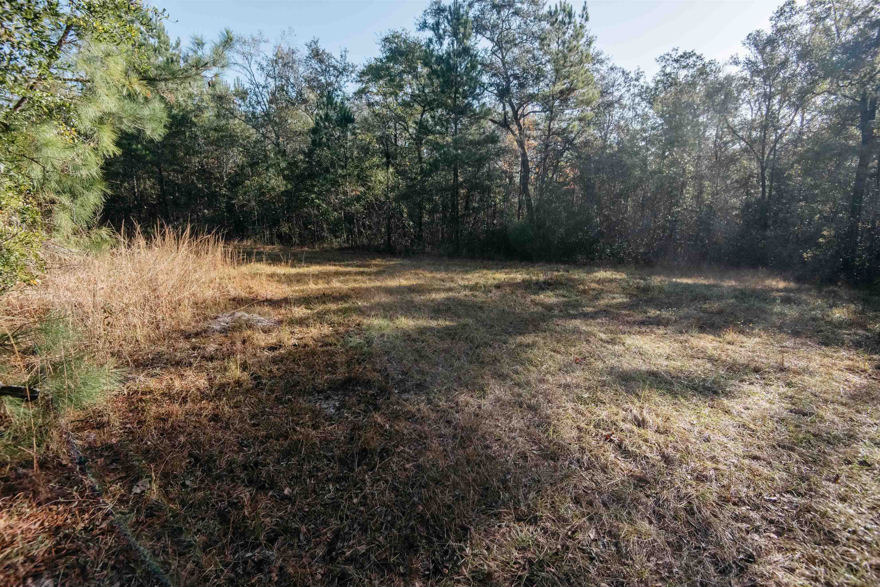 0 Wadesboro,TALLAHASSEE,Florida 32317,Lots and land,Wadesboro,366844