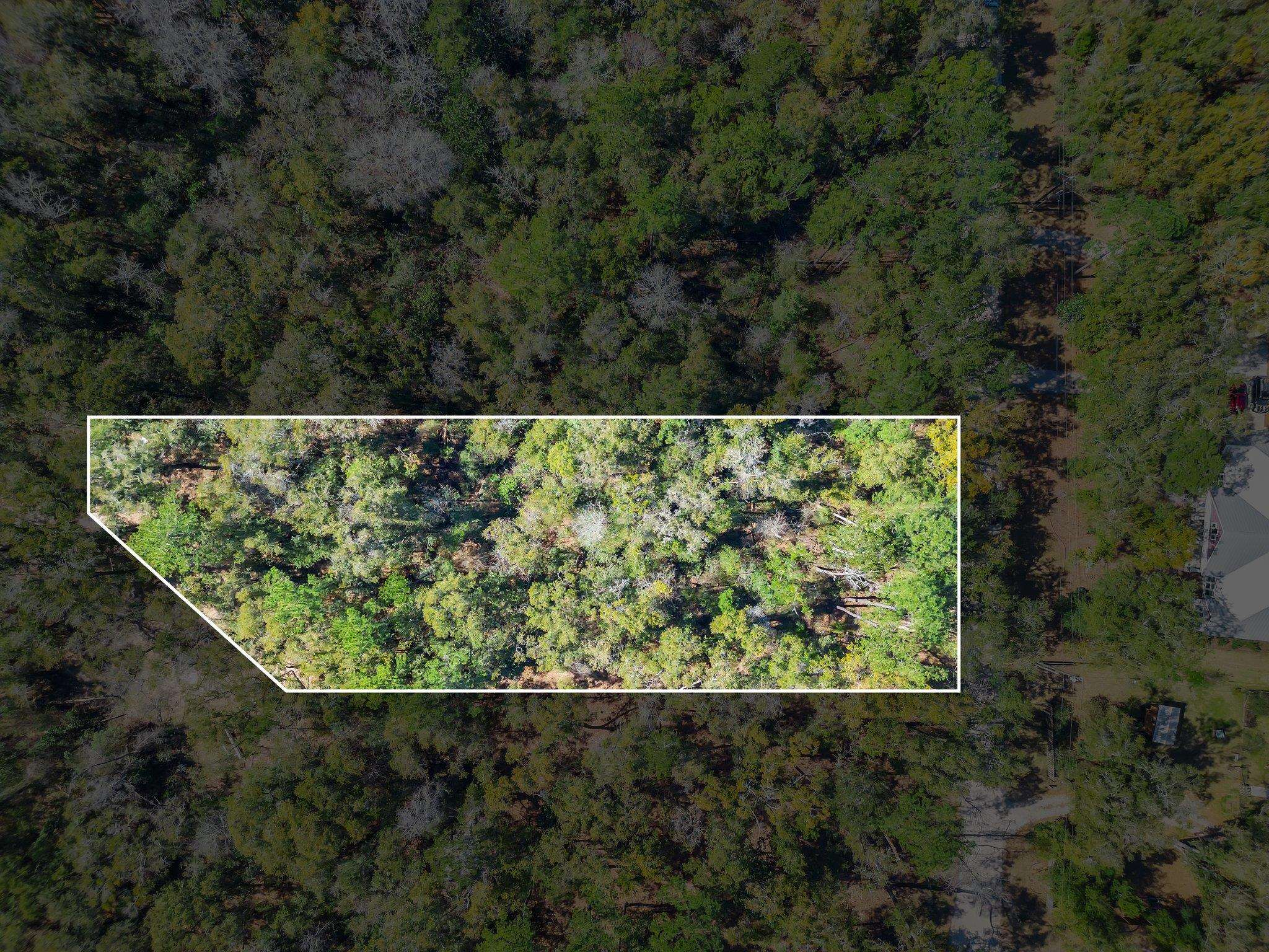 Parramore Shores Lot 6,TALLAHASSEE,Florida 32310,Lots and land,Parramore Shores Lot 6,369063