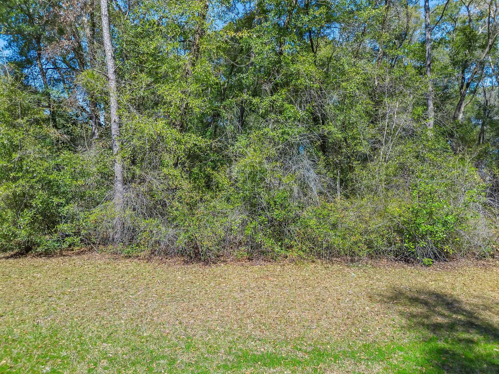 Parramore Shores Lot 6,TALLAHASSEE,Florida 32310,Lots and land,Parramore Shores Lot 6,369063