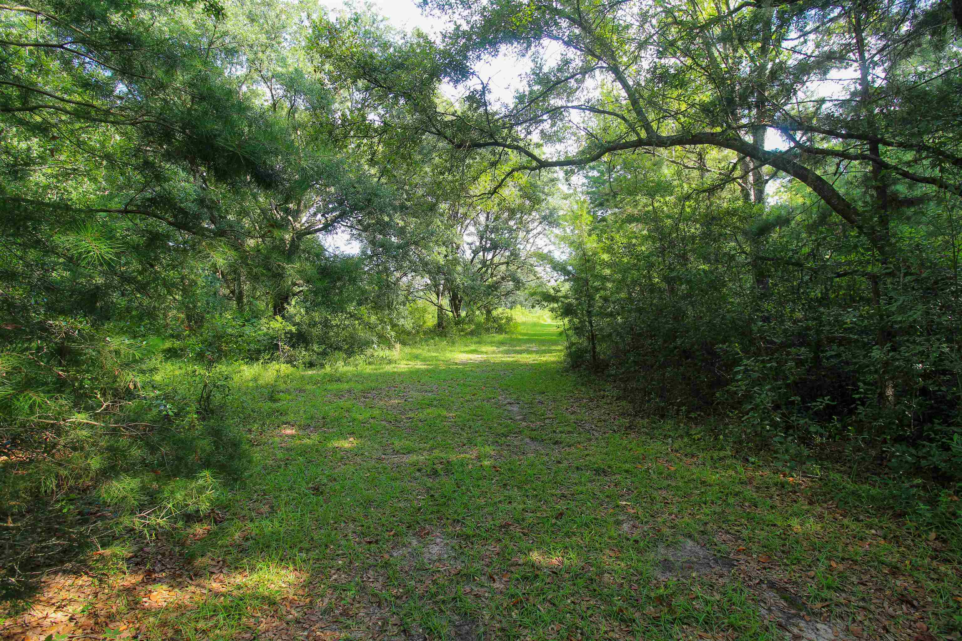 XX Fair Haven,MIDWAY,Florida 32343,Lots and land,Fair Haven,362224