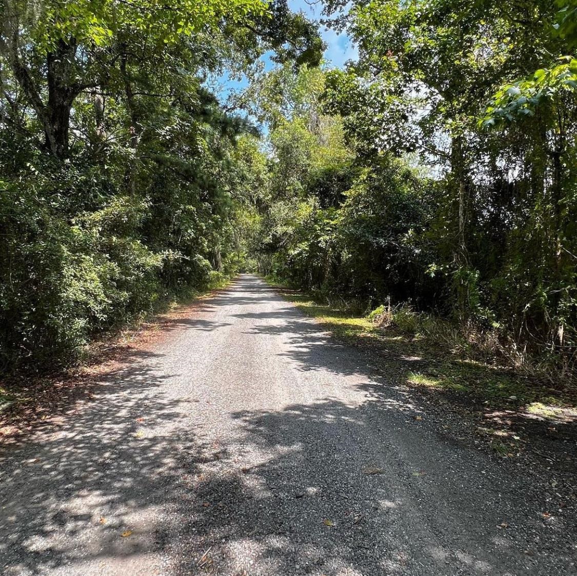 XX Fair Haven,MIDWAY,Florida 32343,Lots and land,Fair Haven,362224