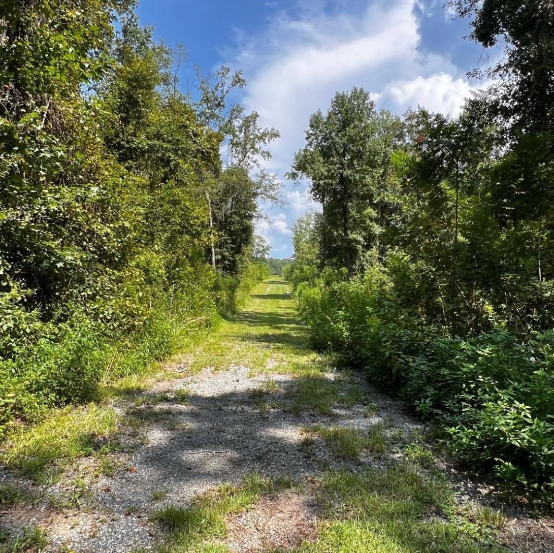 XX Fair Haven,MIDWAY,Florida 32343,Lots and land,Fair Haven,362224