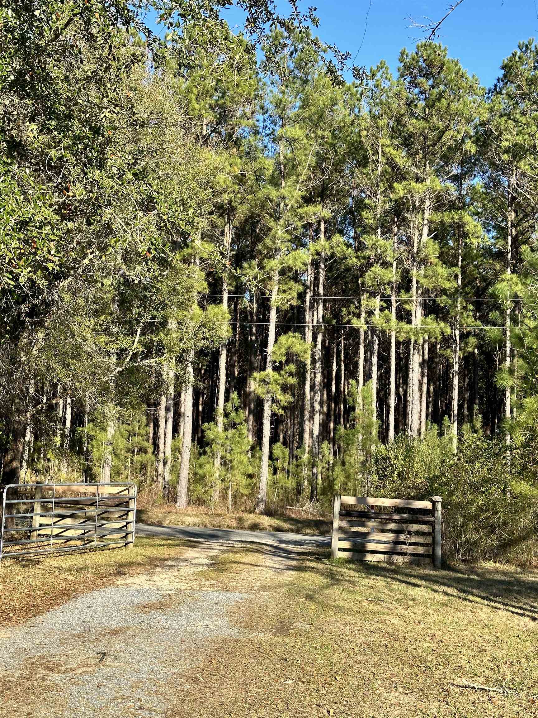 2035 Salley Brown,QUINCY,Florida 32351,Lots and land,Salley Brown,366866