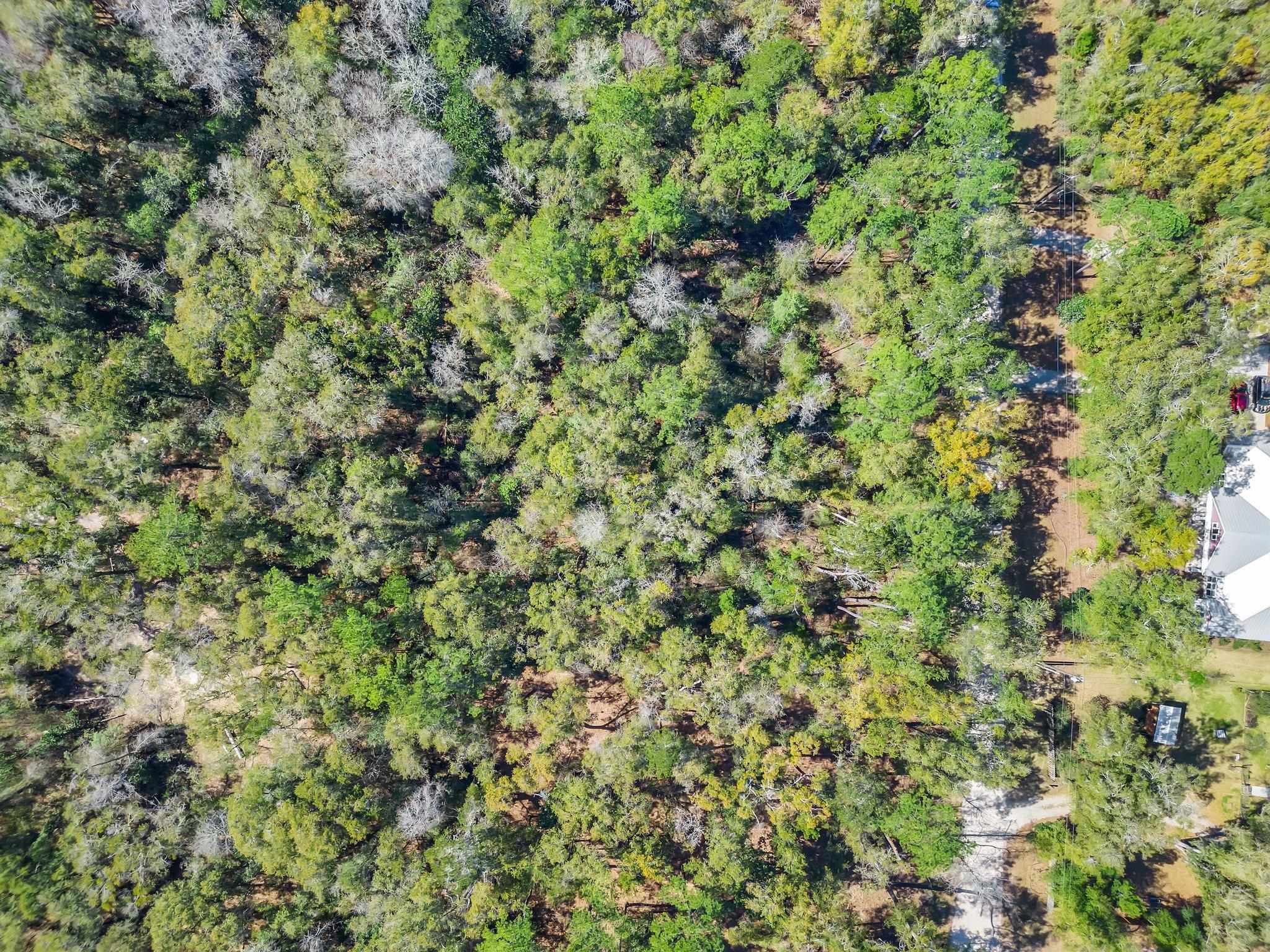 Parramore Shores Lot 5,TALLAHASSEE,Florida 32310,Lots and land,Parramore Shores Lot 5,369065