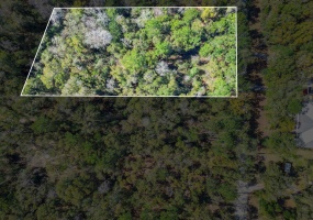 Parramore Shores Lot 5,TALLAHASSEE,Florida 32310,Lots and land,Parramore Shores Lot 5,369065