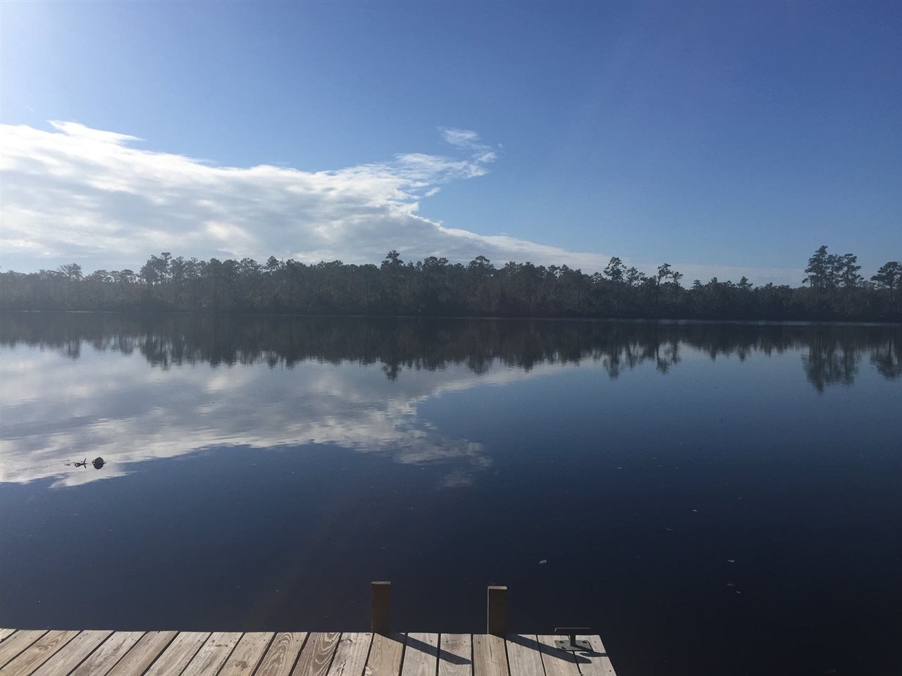 55 Gibson,SOPCHOPPY,Florida 32358,Lots and land,Gibson,362368