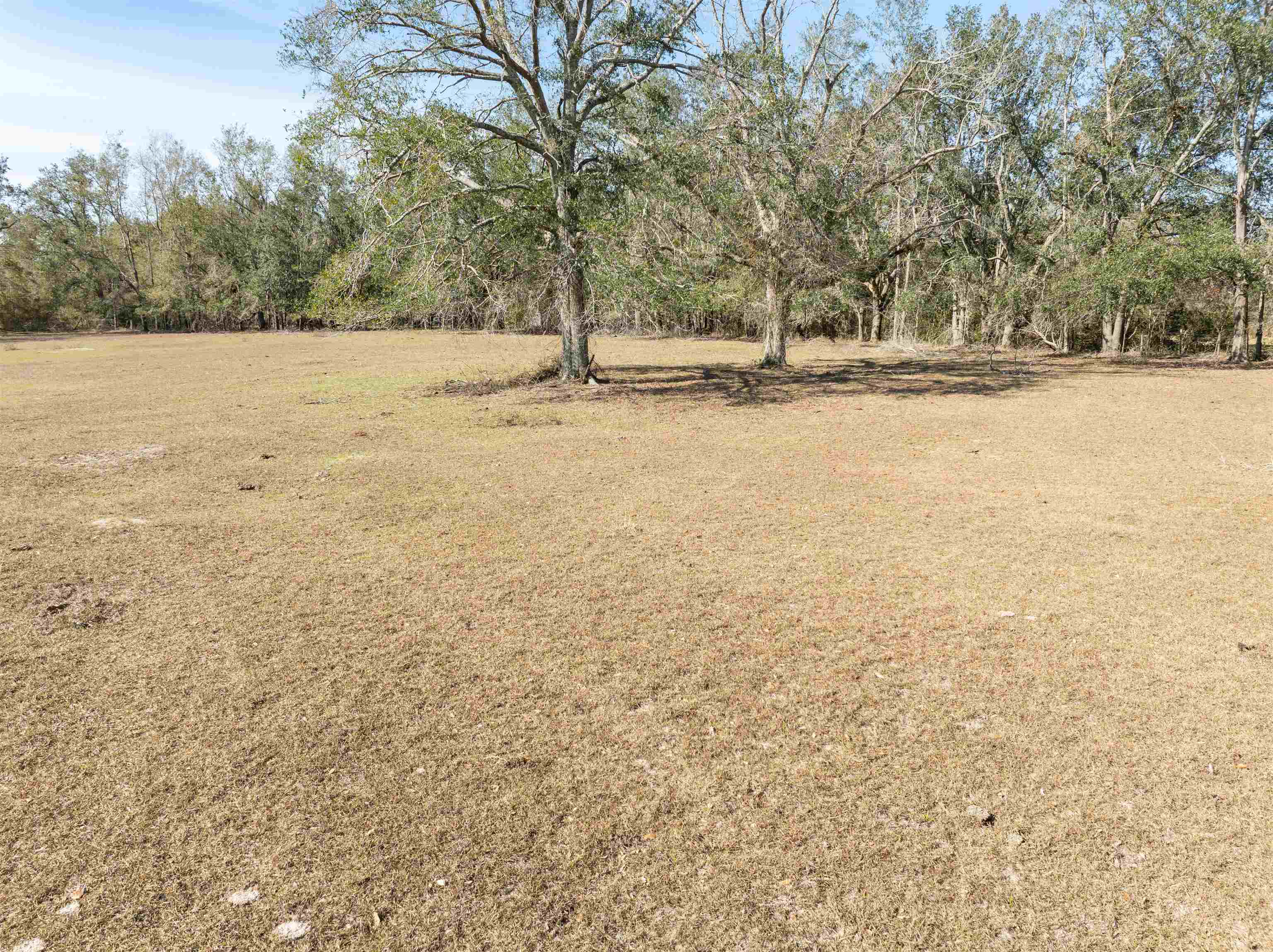 Vacant Donaldson,LEE,Florida 32059,Lots and land,Donaldson,369104