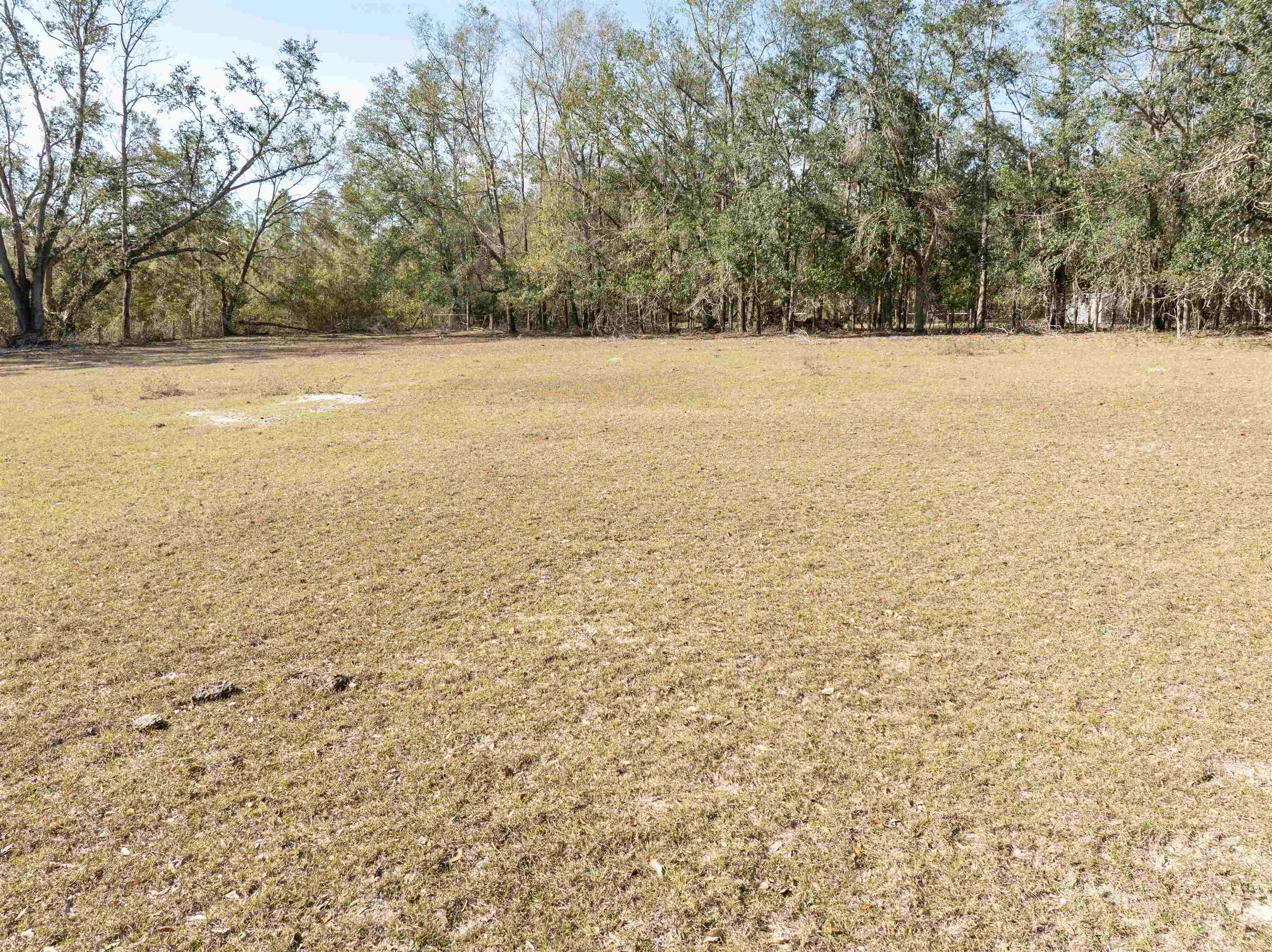 Vacant Donaldson,LEE,Florida 32059,Lots and land,Donaldson,369104