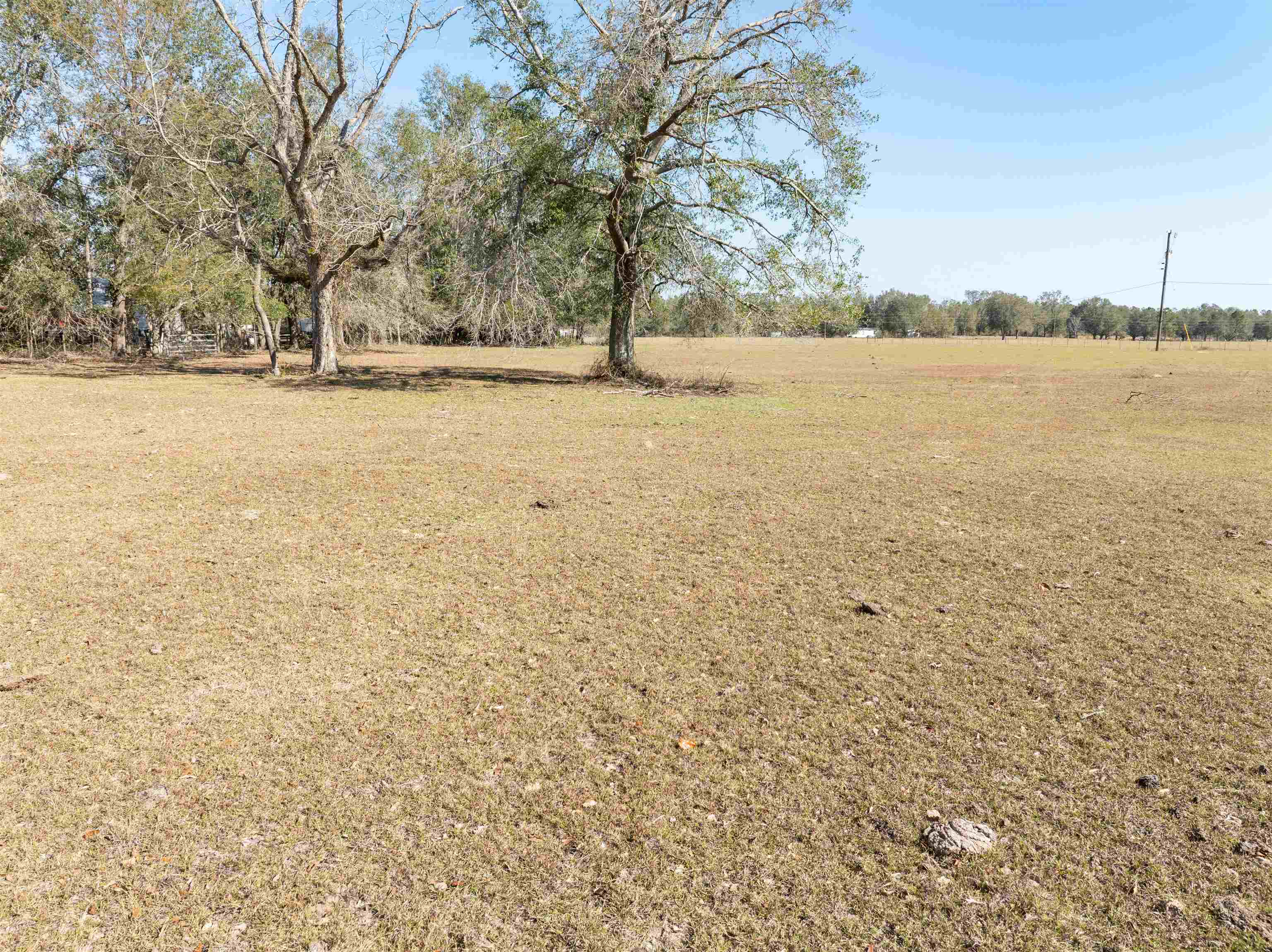 Vacant Donaldson,LEE,Florida 32059,Lots and land,Donaldson,369104