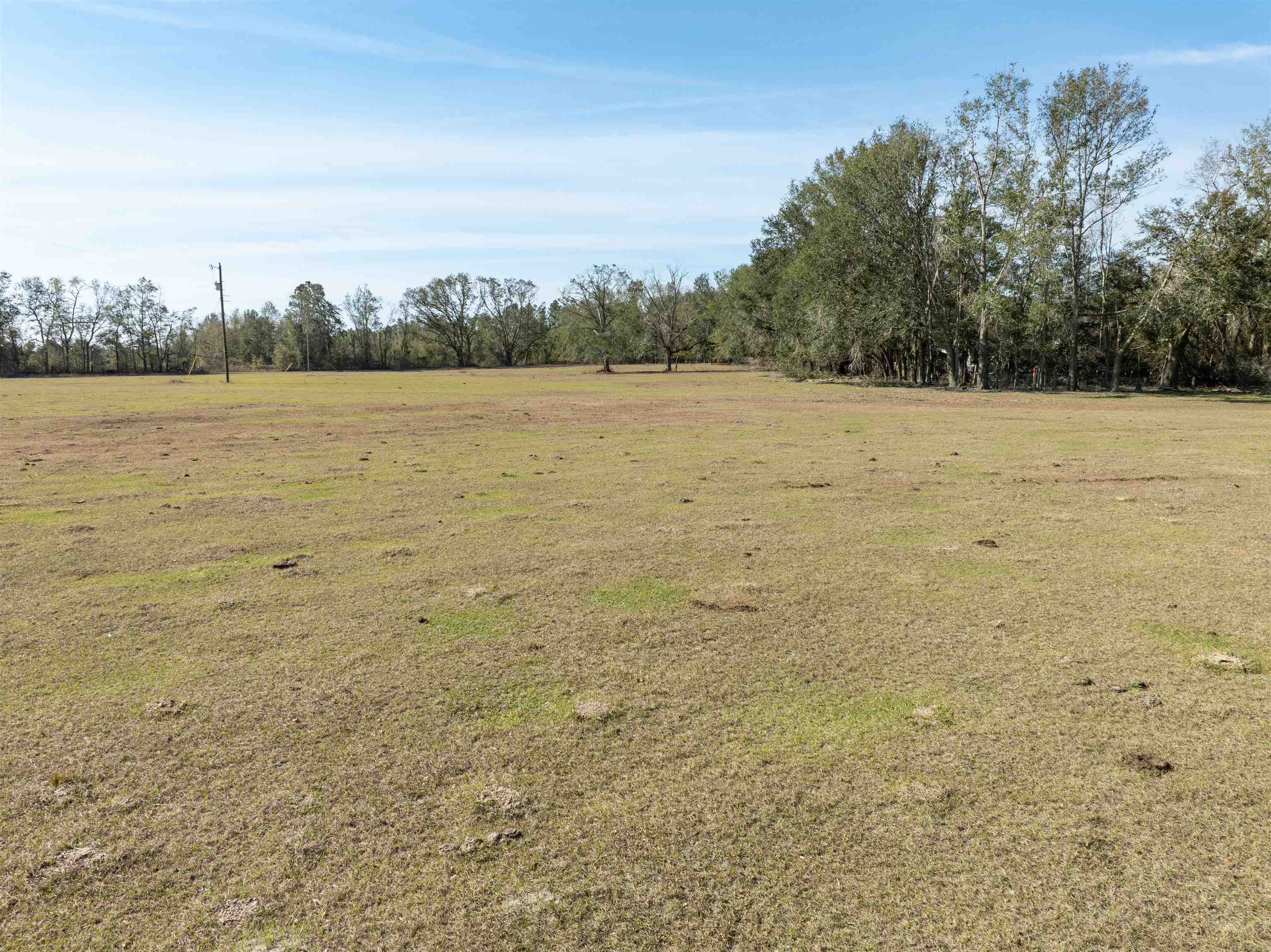 Vacant Donaldson,LEE,Florida 32059,Lots and land,Donaldson,369104