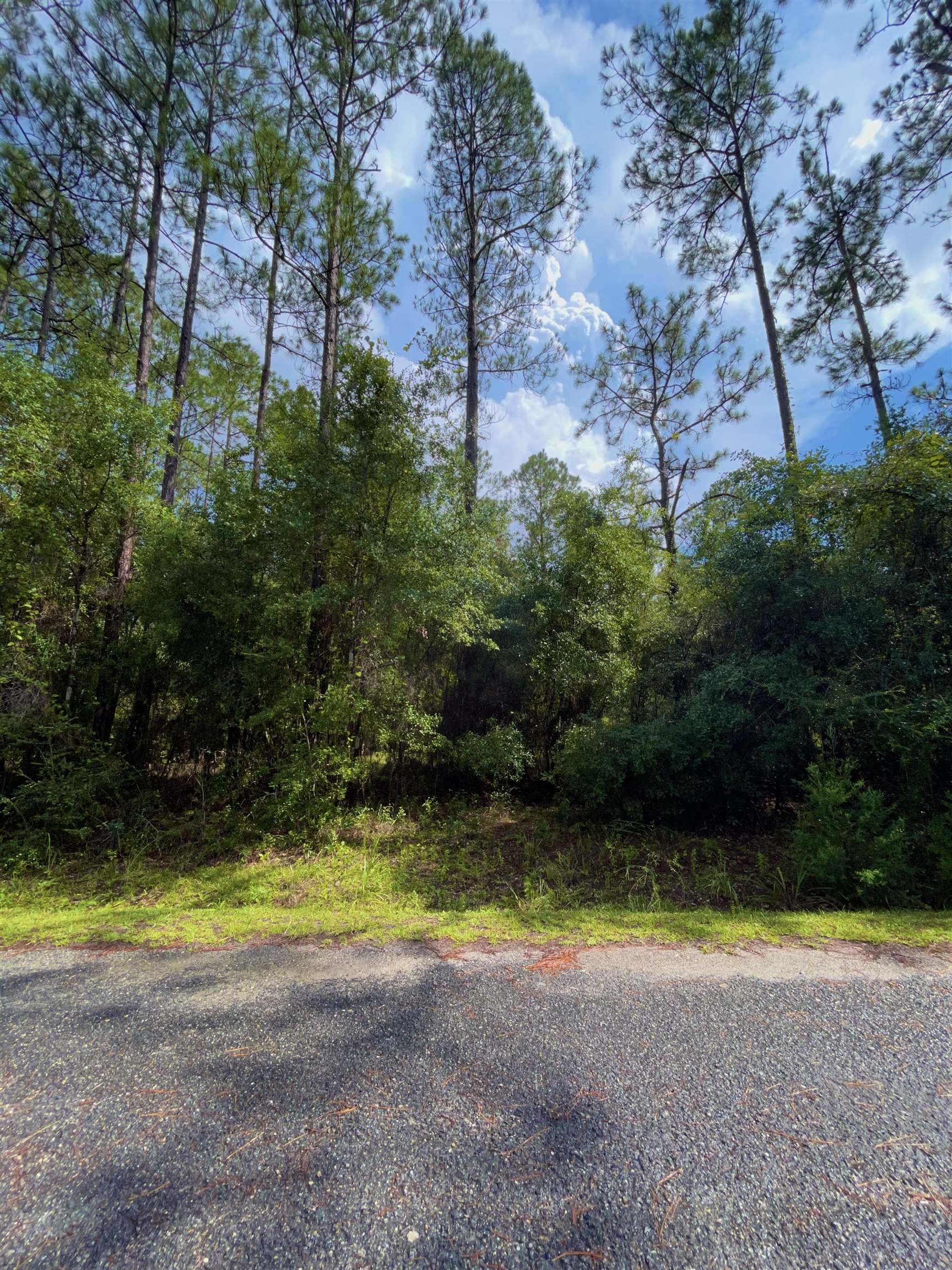 LOTS 3&4 Buckhorn Creek,SOPCHOPPY,Florida 32358,Lots and land,Buckhorn Creek,362400