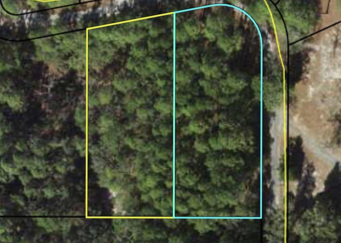 LOTS 3&4 Buckhorn Creek,SOPCHOPPY,Florida 32358,Lots and land,Buckhorn Creek,362400