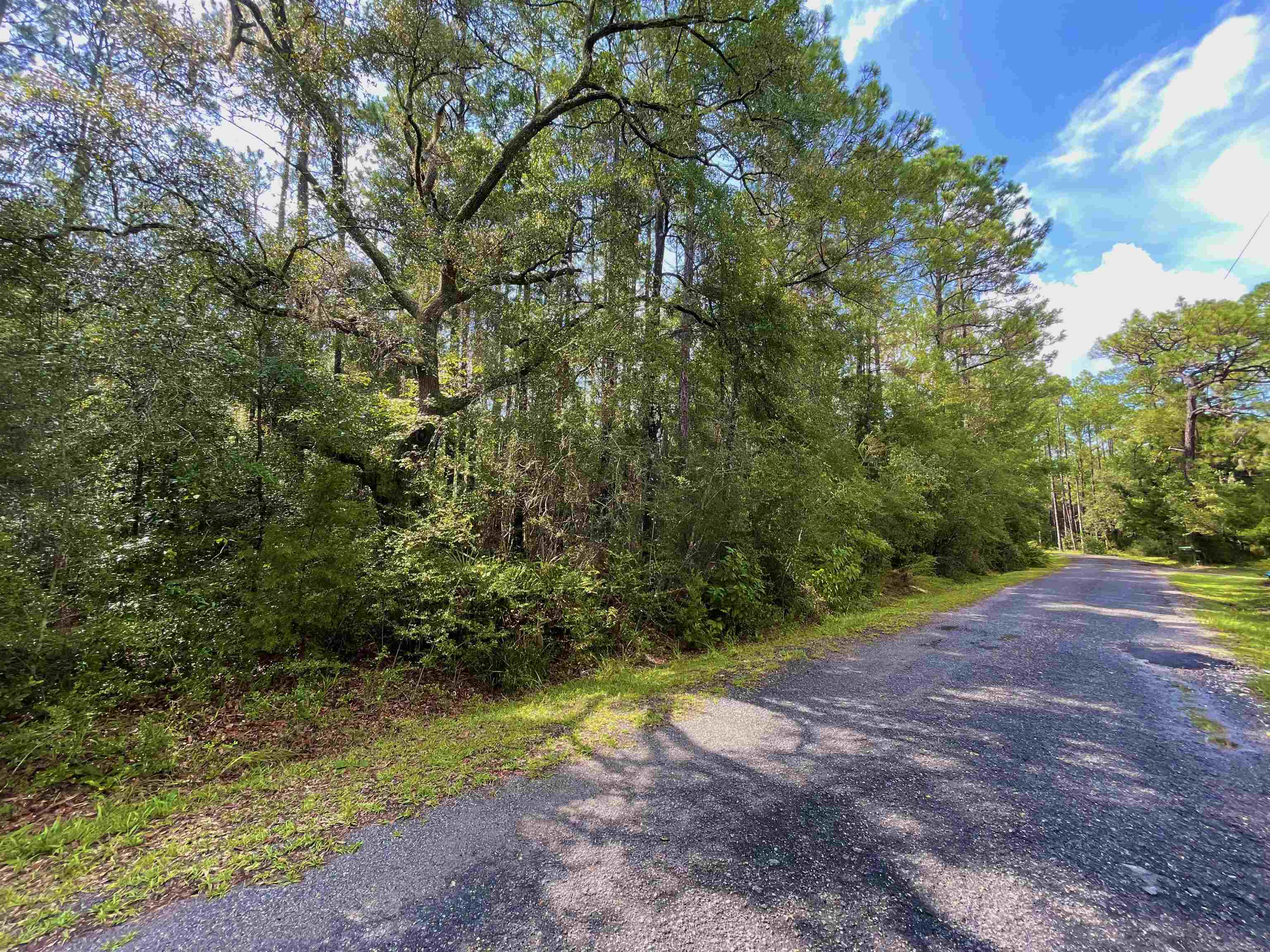 Lot 2 Buckhorn Creek,SOPCHOPPY,Florida 32358,Lots and land,Buckhorn Creek,362401