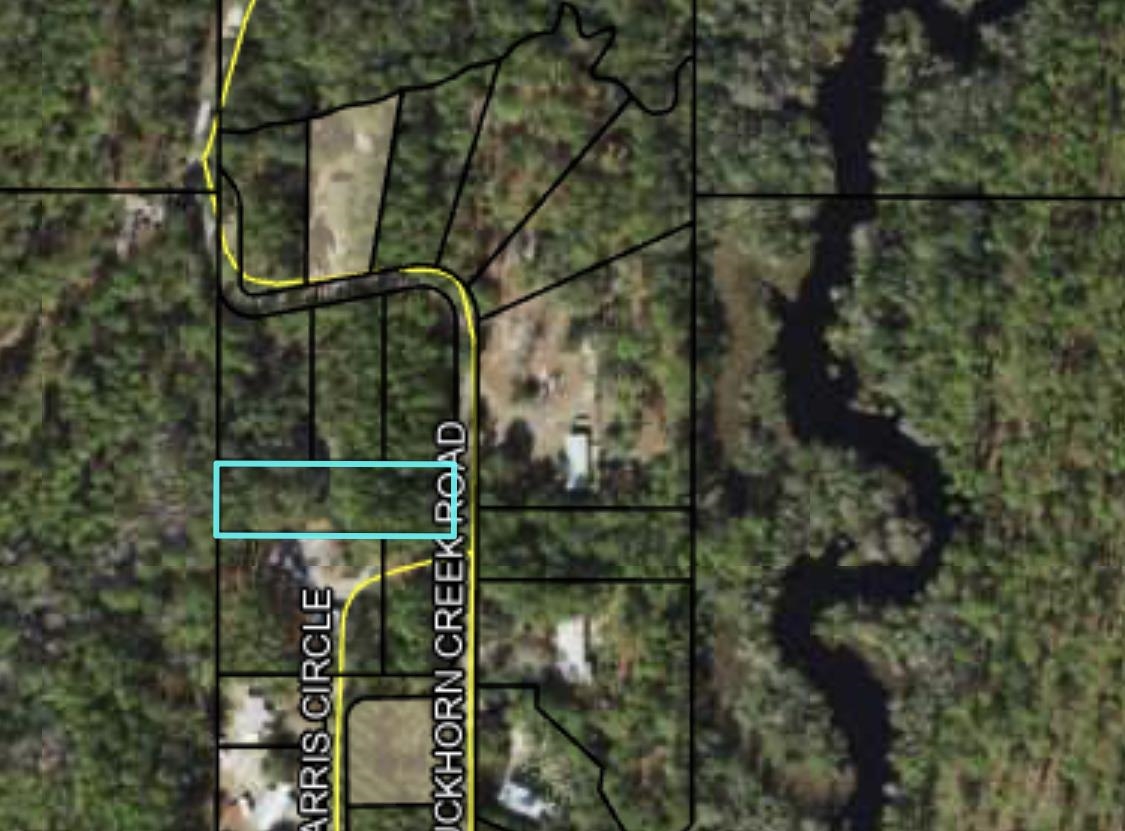 Lot 2 Buckhorn Creek,SOPCHOPPY,Florida 32358,Lots and land,Buckhorn Creek,362401