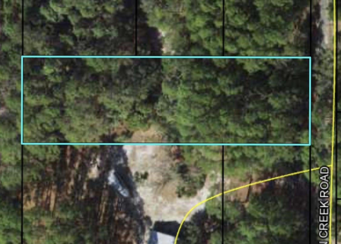 Lot 2 Buckhorn Creek,SOPCHOPPY,Florida 32358,Lots and land,Buckhorn Creek,362401