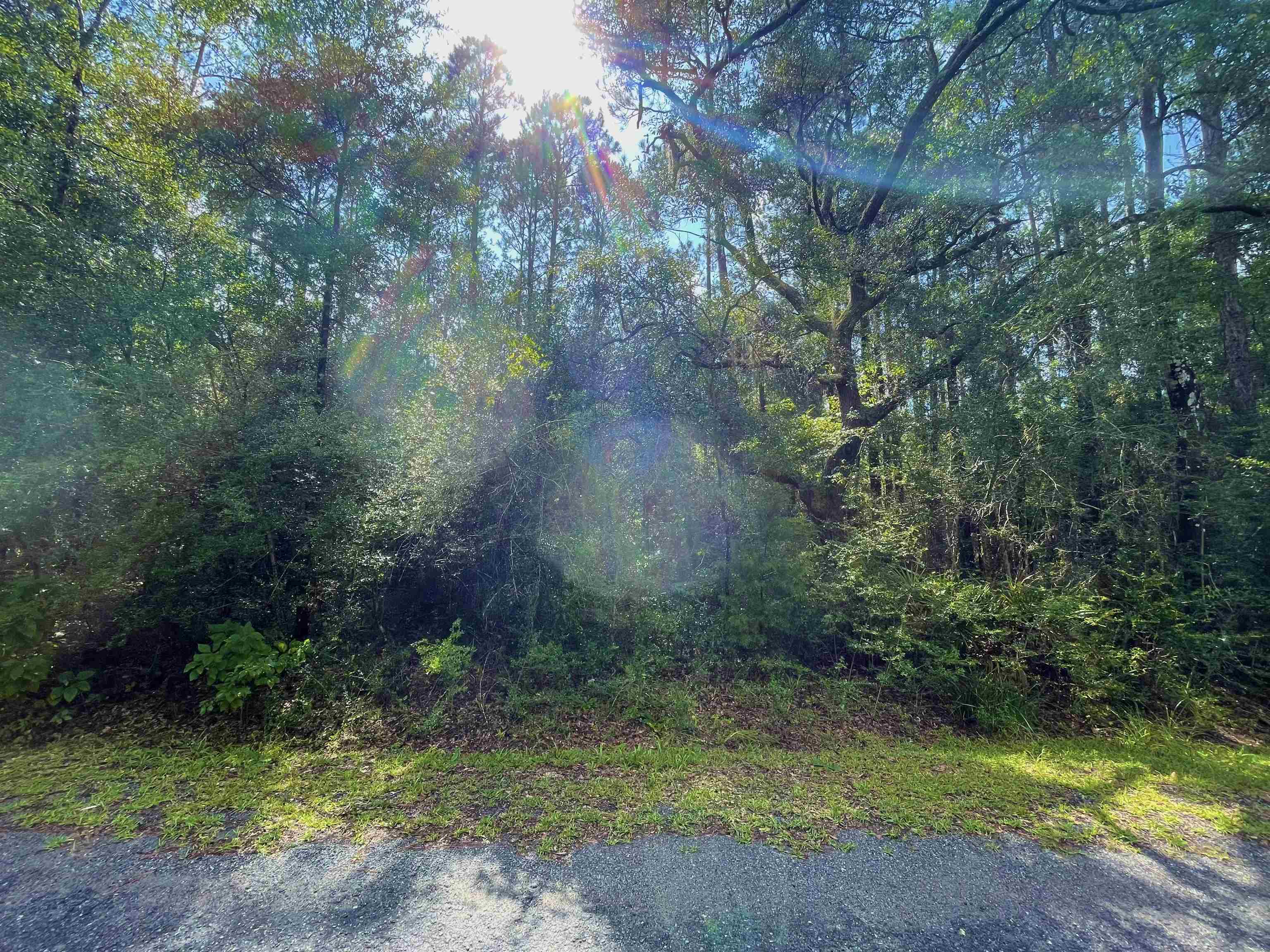 Lot 2 Buckhorn Creek,SOPCHOPPY,Florida 32358,Lots and land,Buckhorn Creek,362401