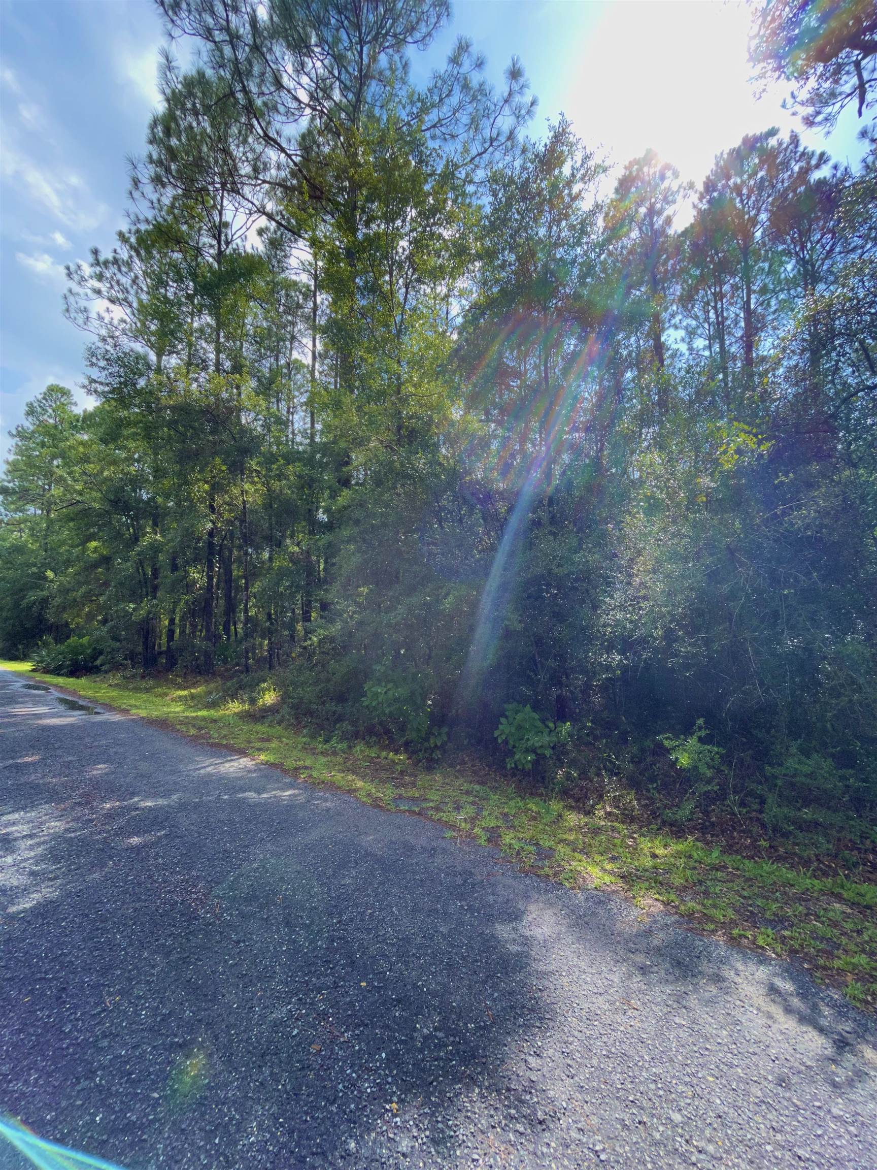 Lot 2 Buckhorn Creek,SOPCHOPPY,Florida 32358,Lots and land,Buckhorn Creek,362401