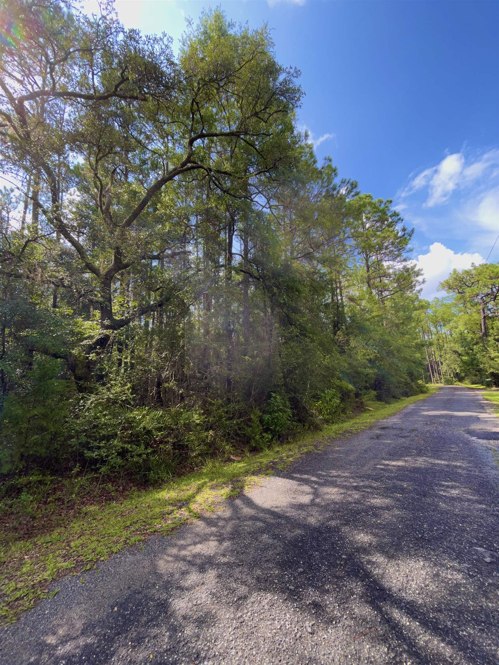 Lot 2 Buckhorn Creek,SOPCHOPPY,Florida 32358,Lots and land,Buckhorn Creek,362401