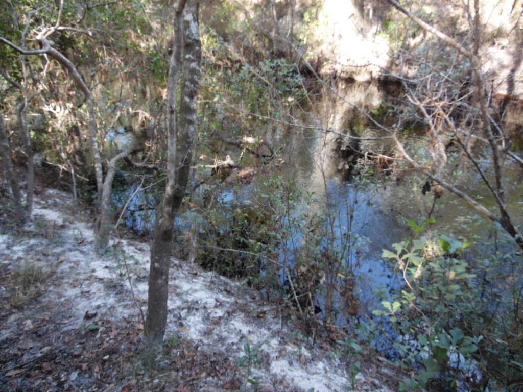 XXXX Mt Beasor,SOPCHOPPY,Florida 32358,Lots and land,Mt Beasor,366948