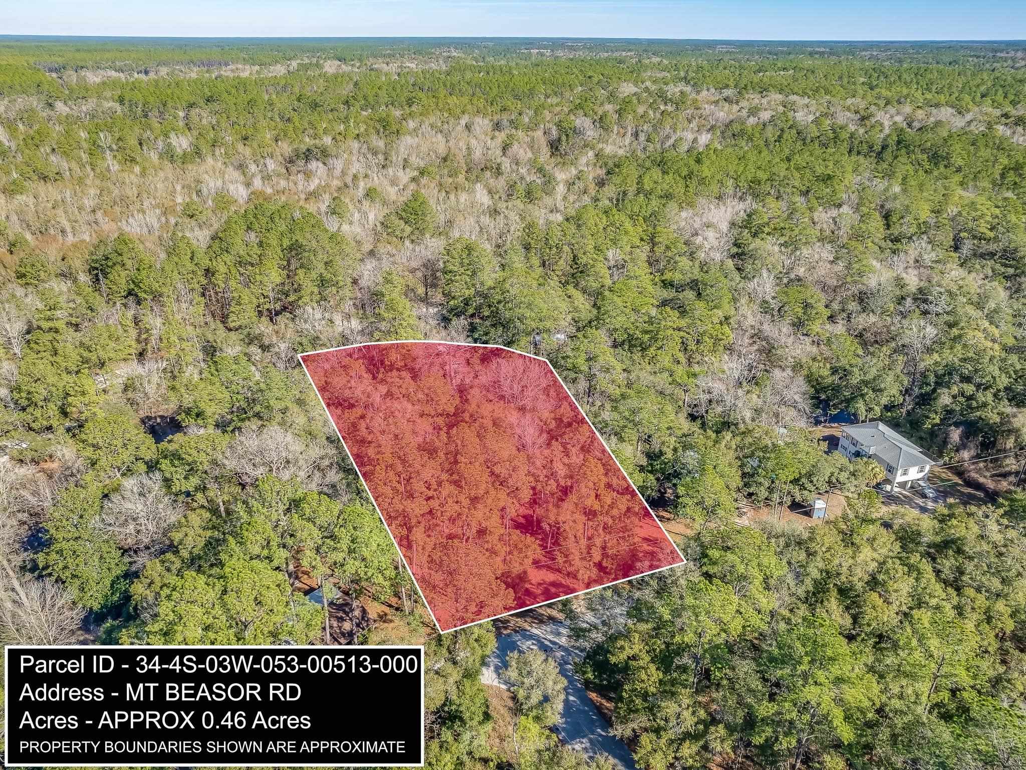 XXXX Mt Beasor,SOPCHOPPY,Florida 32358,Lots and land,Mt Beasor,366948