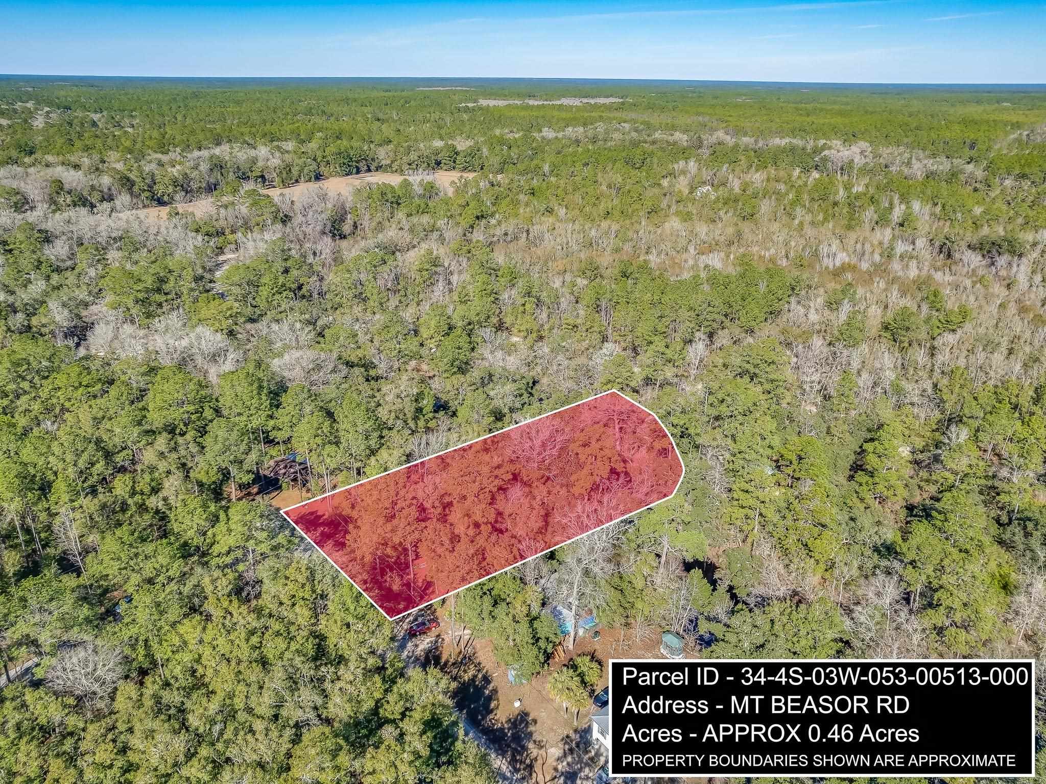 XXXX Mt Beasor,SOPCHOPPY,Florida 32358,Lots and land,Mt Beasor,366948