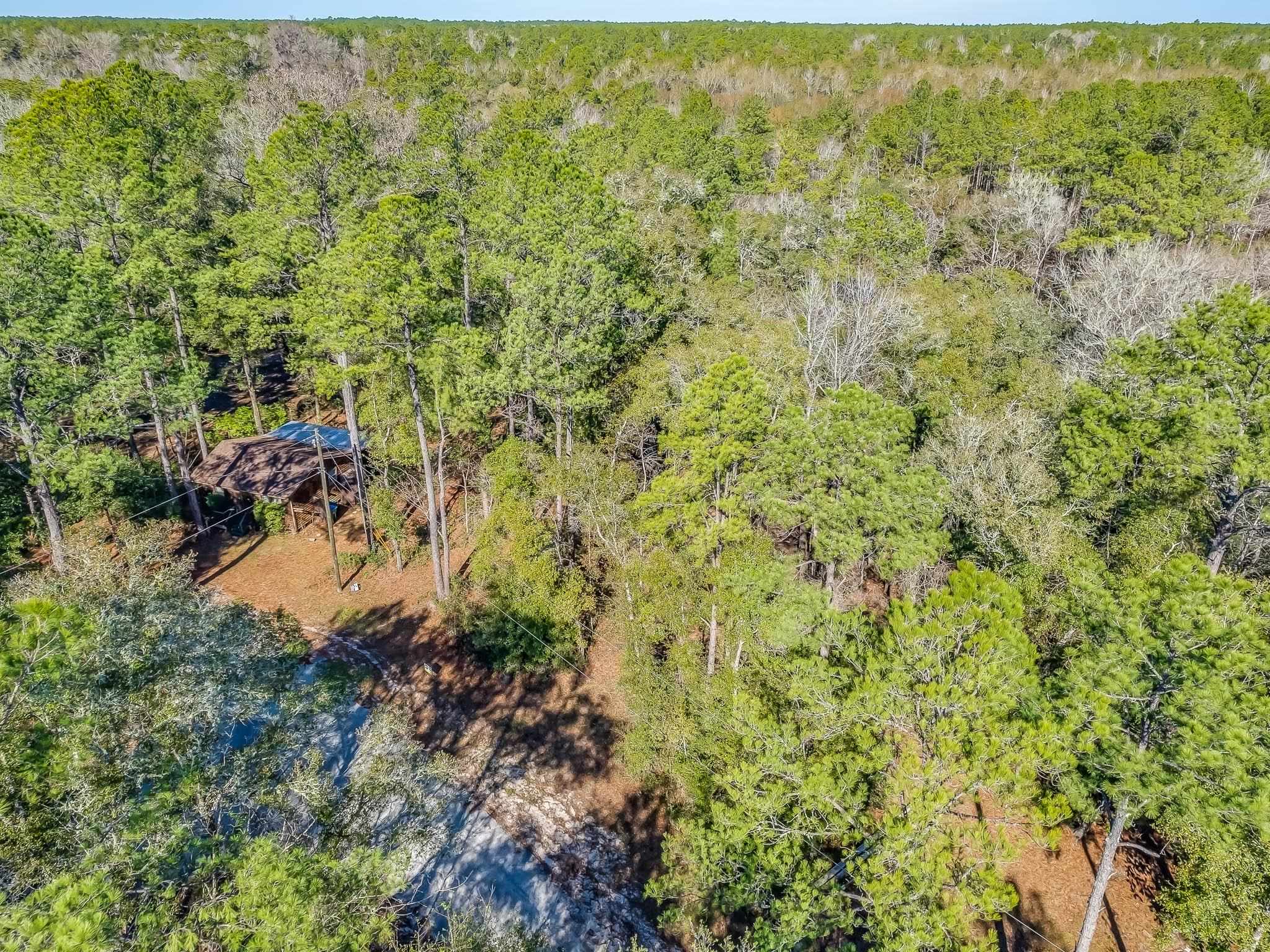 XXXX Mt Beasor,SOPCHOPPY,Florida 32358,Lots and land,Mt Beasor,366948