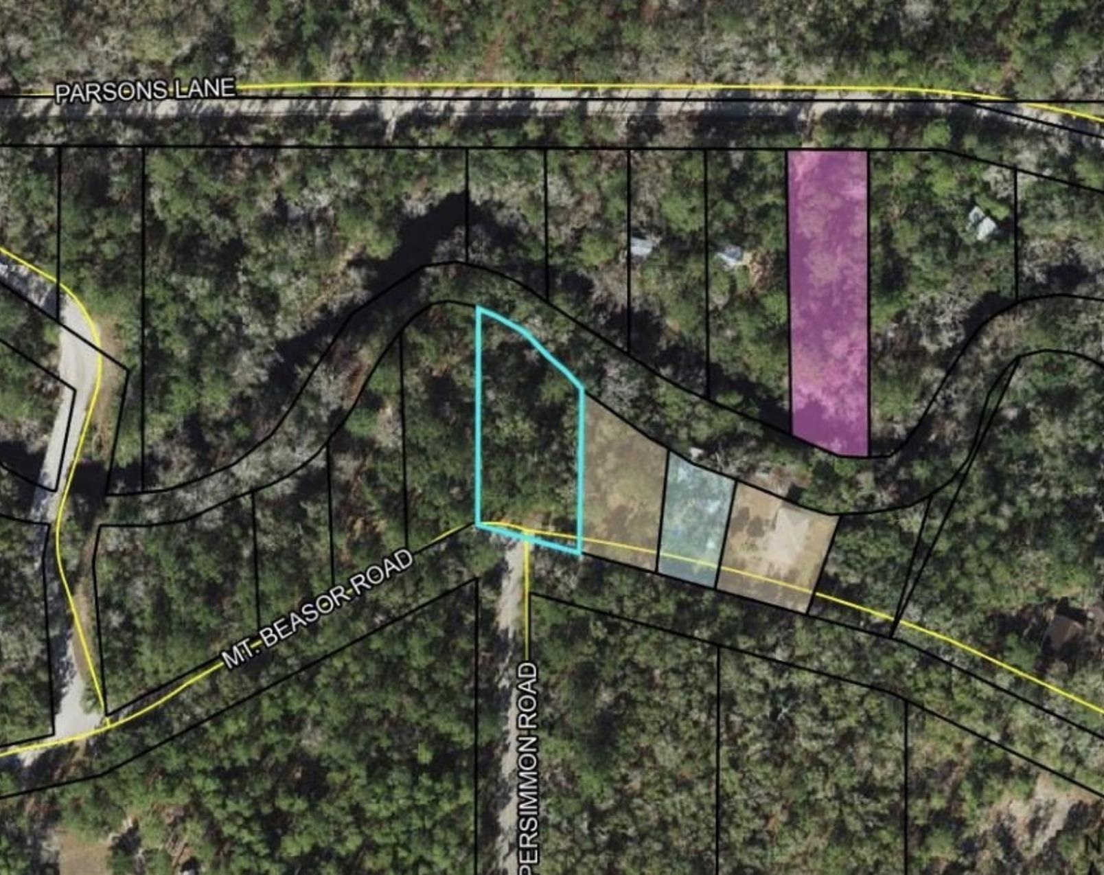 XXXX Mt Beasor,SOPCHOPPY,Florida 32358,Lots and land,Mt Beasor,366948