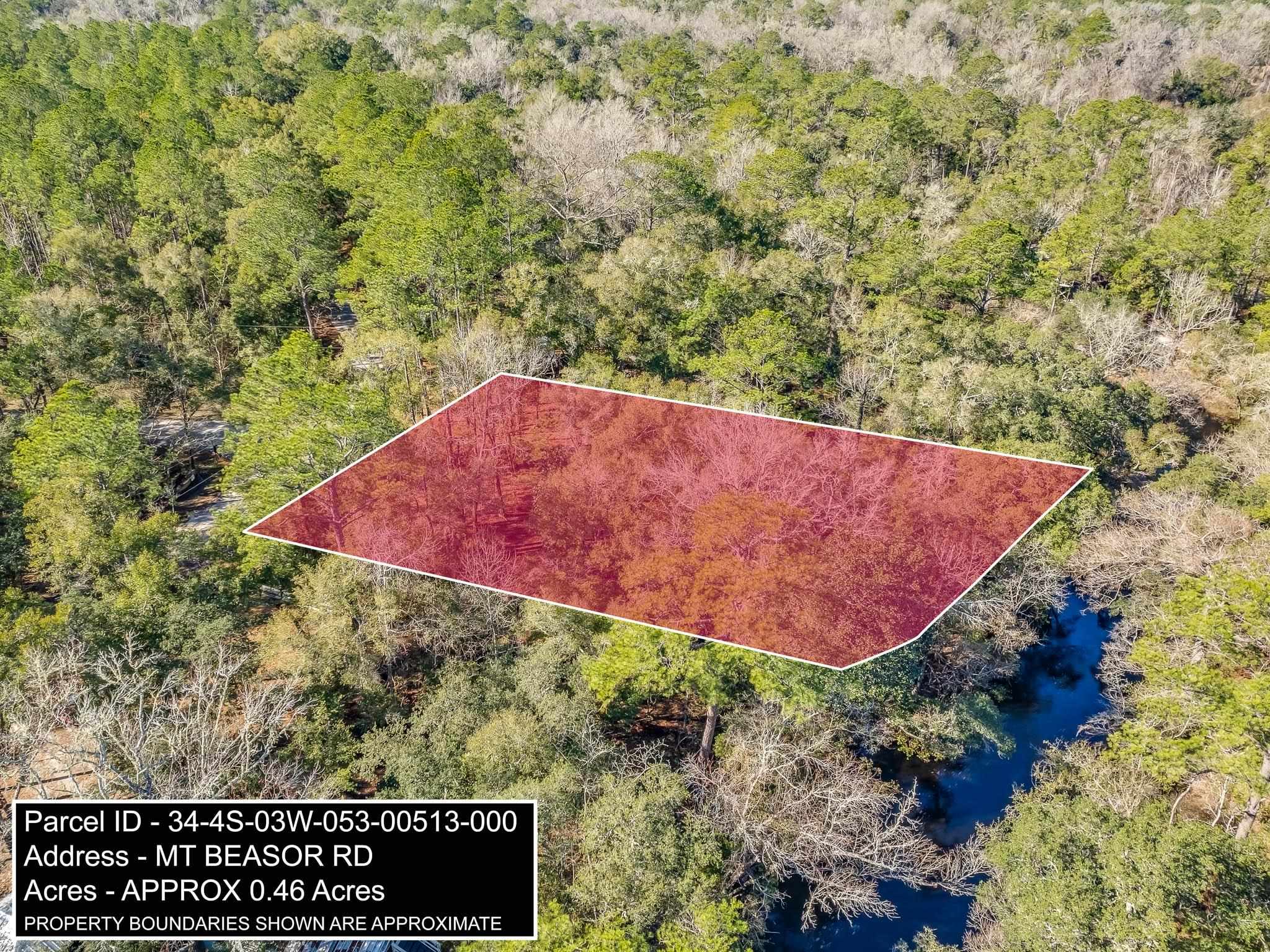 XXXX Mt Beasor,SOPCHOPPY,Florida 32358,Lots and land,Mt Beasor,366948