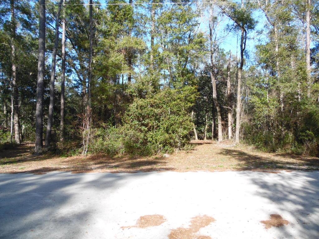 XXXX Mt Beasor,SOPCHOPPY,Florida 32358,Lots and land,Mt Beasor,366948