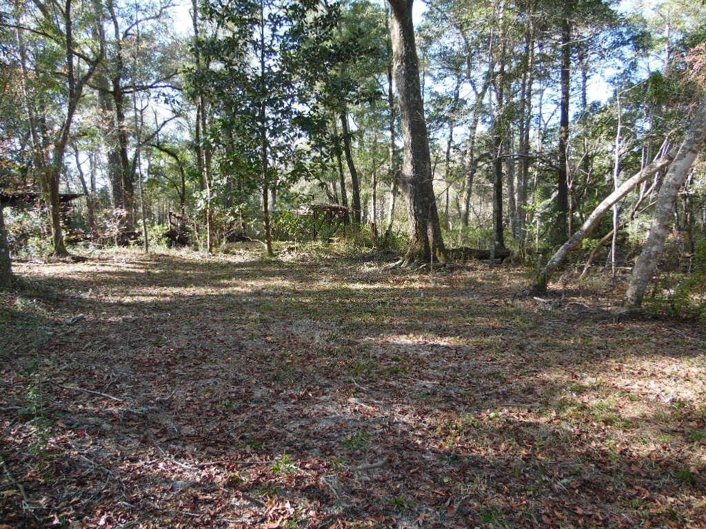 XXXX Mt Beasor,SOPCHOPPY,Florida 32358,Lots and land,Mt Beasor,366948