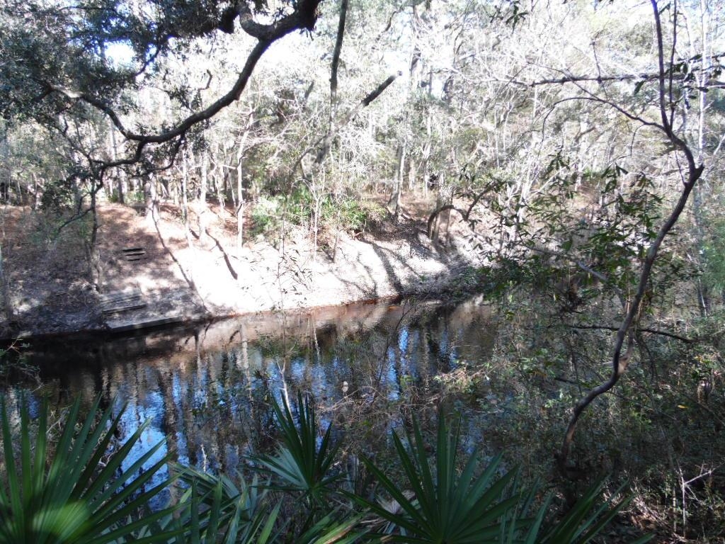 XXXX Mt Beasor,SOPCHOPPY,Florida 32358,Lots and land,Mt Beasor,366948