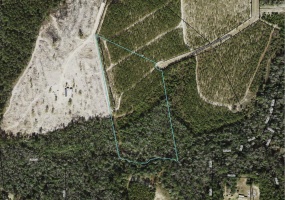 XX Big Creek,HOSFORD,Florida 32334,Lots and land,Big Creek,362486