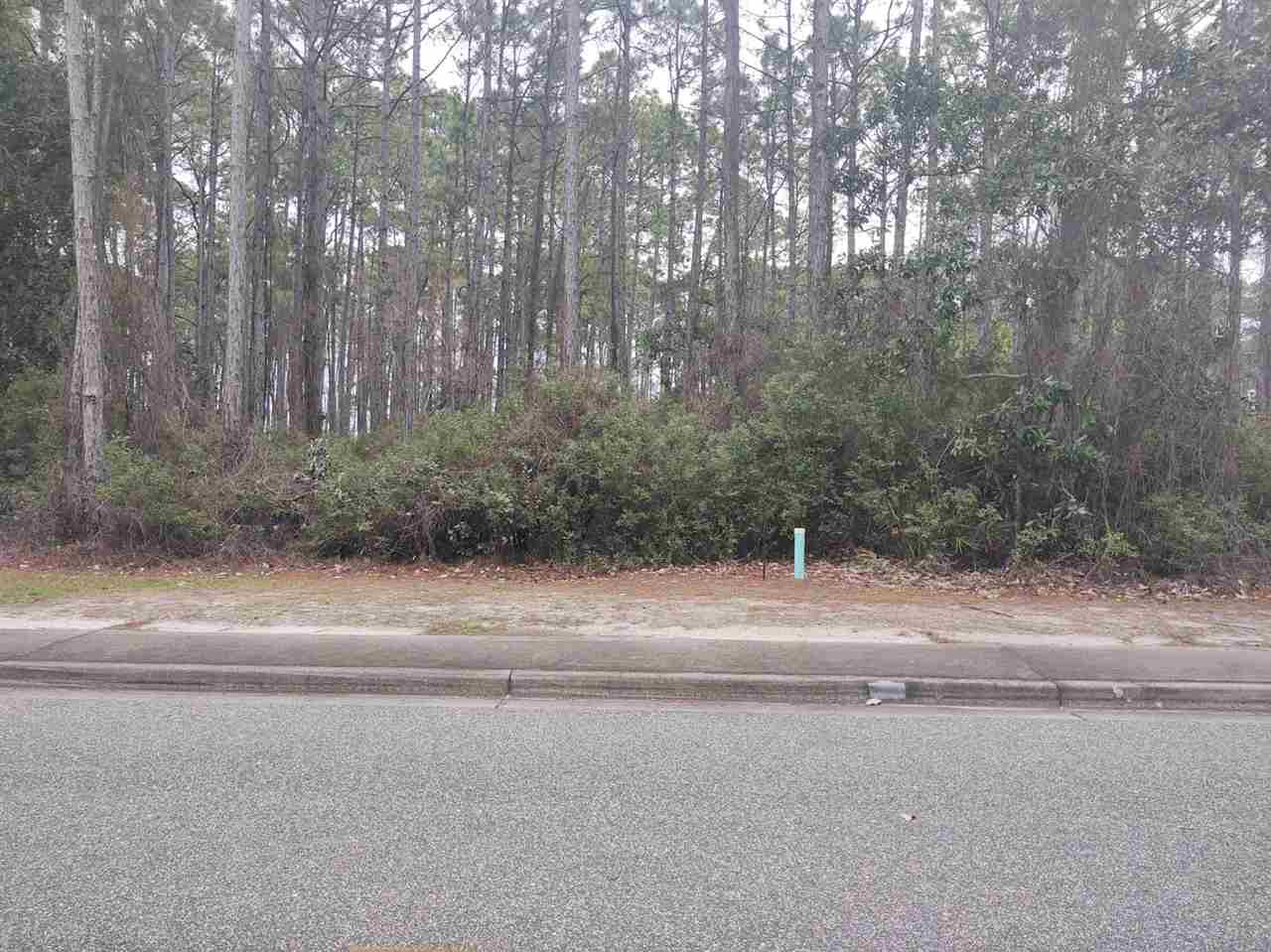 116 Royal Tern,CARRABELLE,Florida 32322,Lots and land,Royal Tern,367001