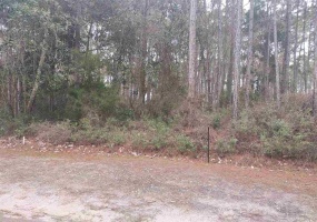 116 Royal Tern,CARRABELLE,Florida 32322,Lots and land,Royal Tern,367001