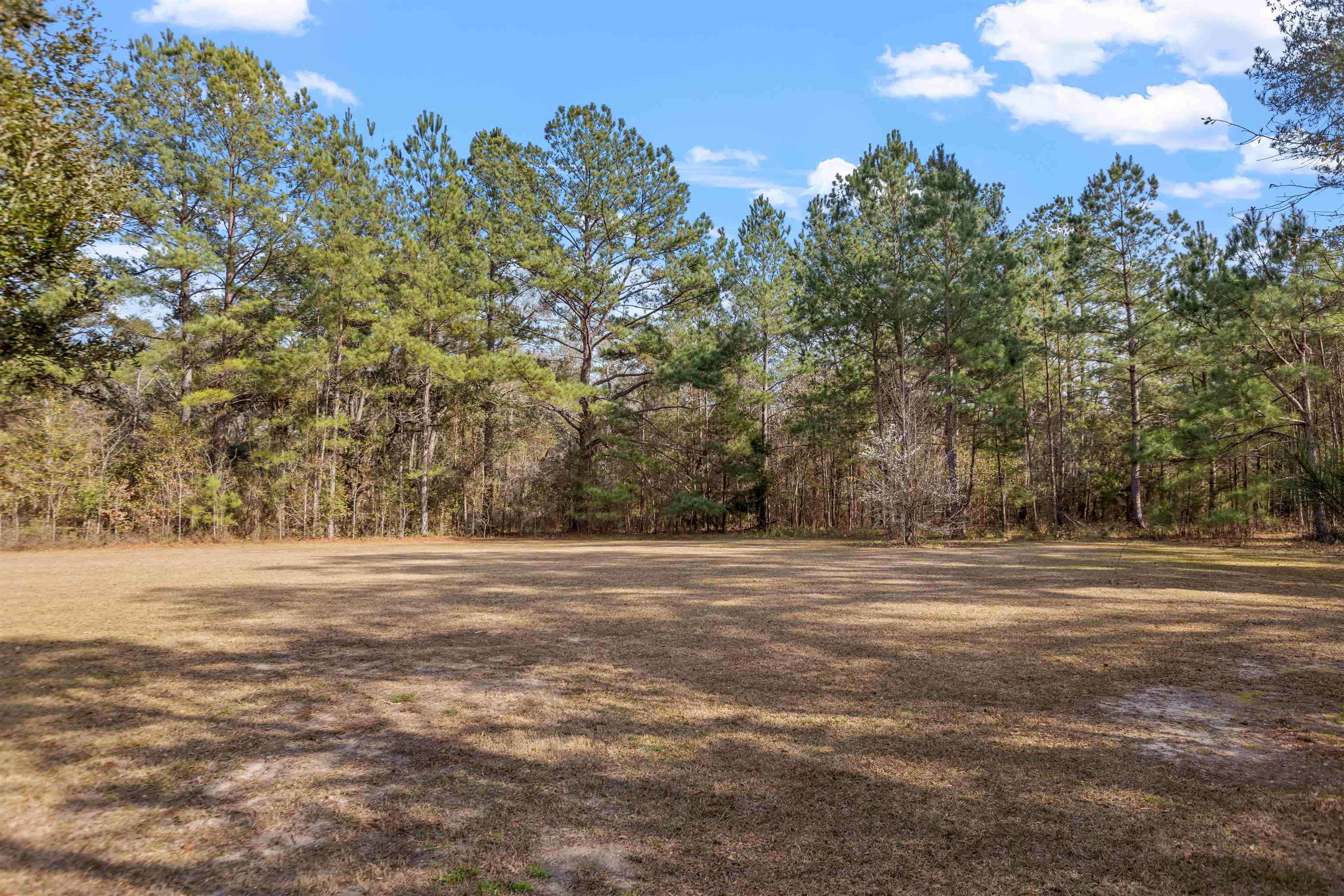 7853 Parliament Ct,TALLAHASSEE,Florida 32309,4 Bedrooms Bedrooms,3 BathroomsBathrooms,Detached single family,7853 Parliament Ct,369711