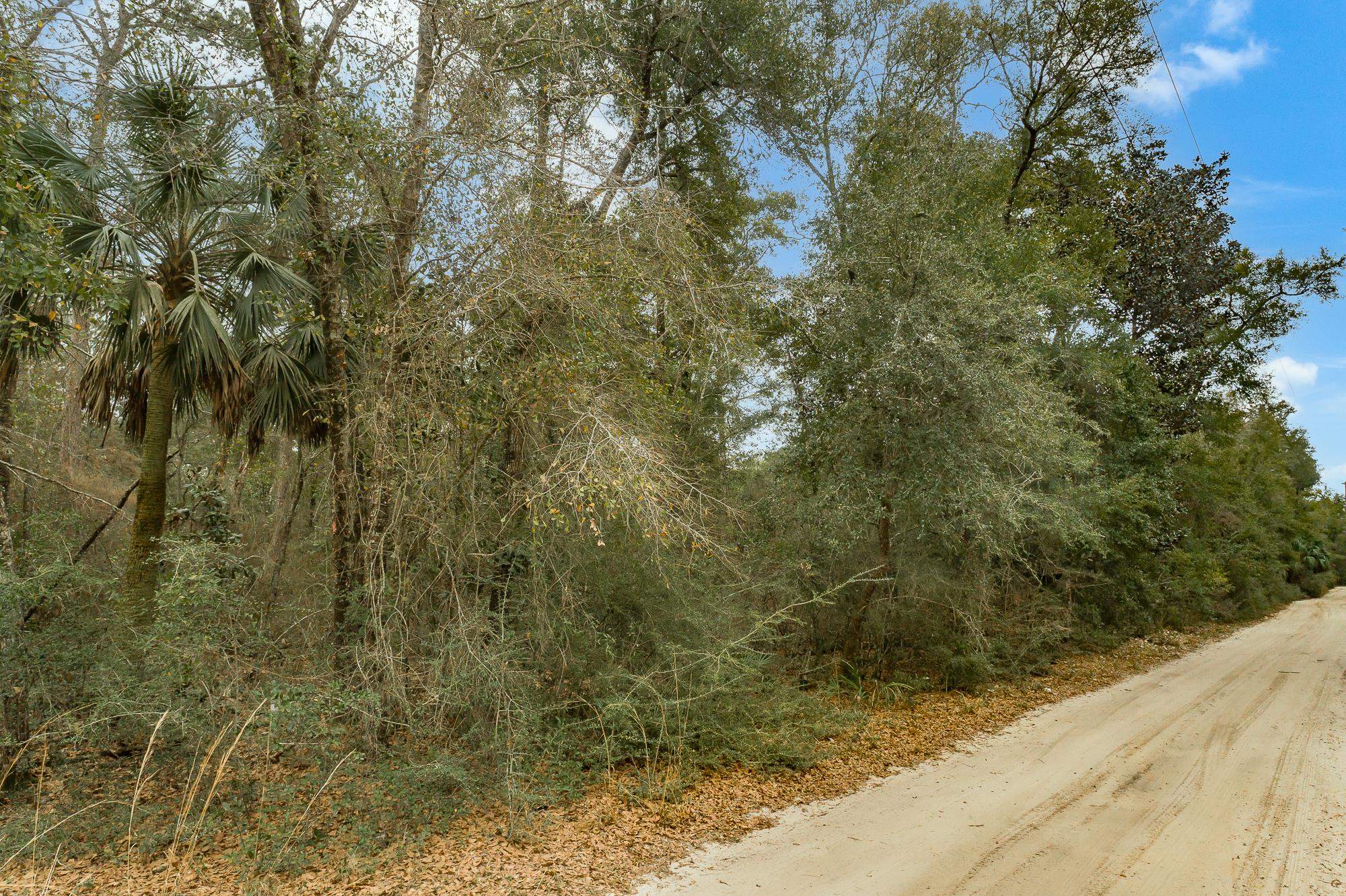 xxx Whippoorwill,CRAWFORDVILLE,Florida 32327,Lots and land,Whippoorwill,369200