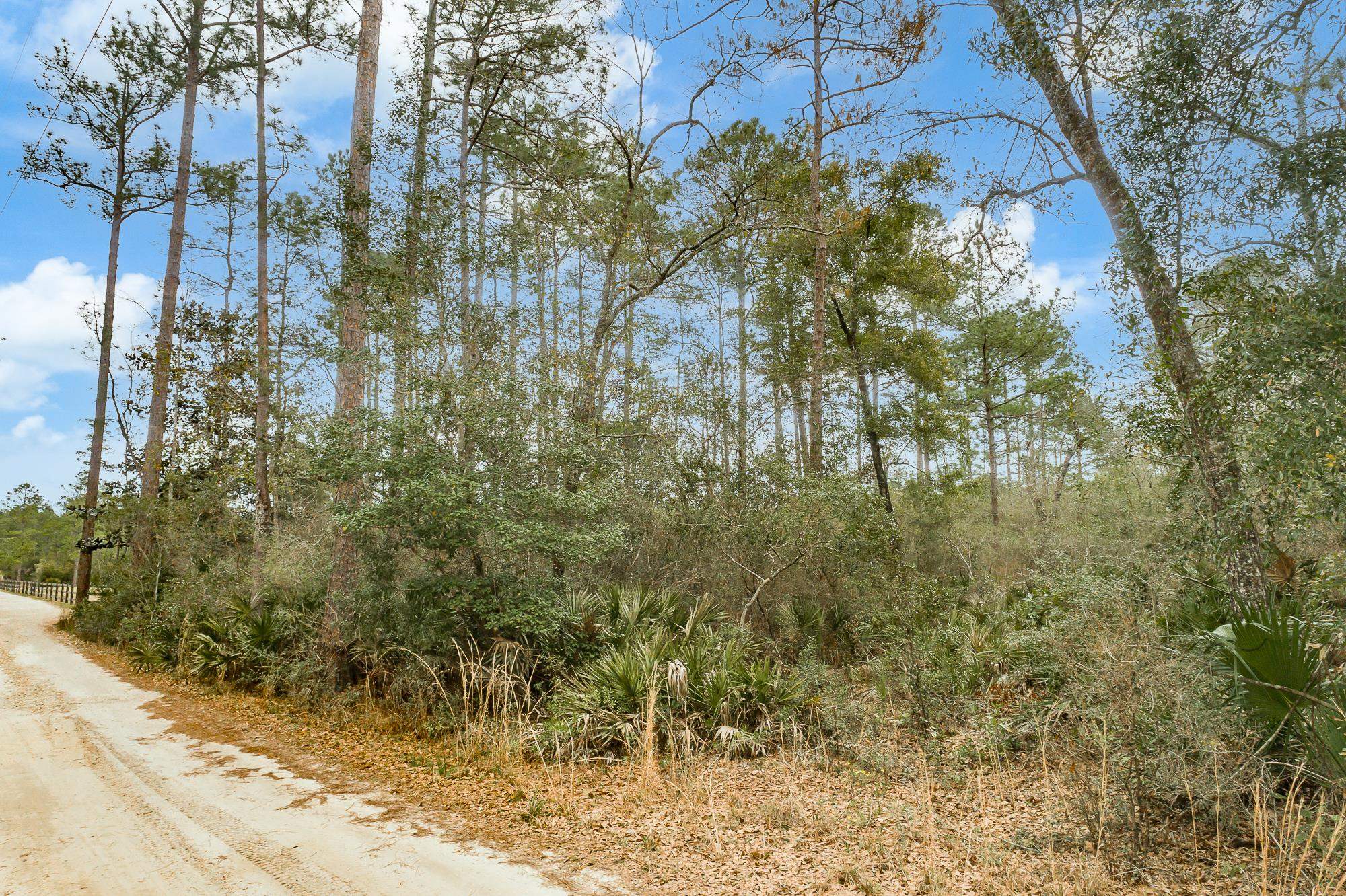 xxx Whippoorwill,CRAWFORDVILLE,Florida 32327,Lots and land,Whippoorwill,369200