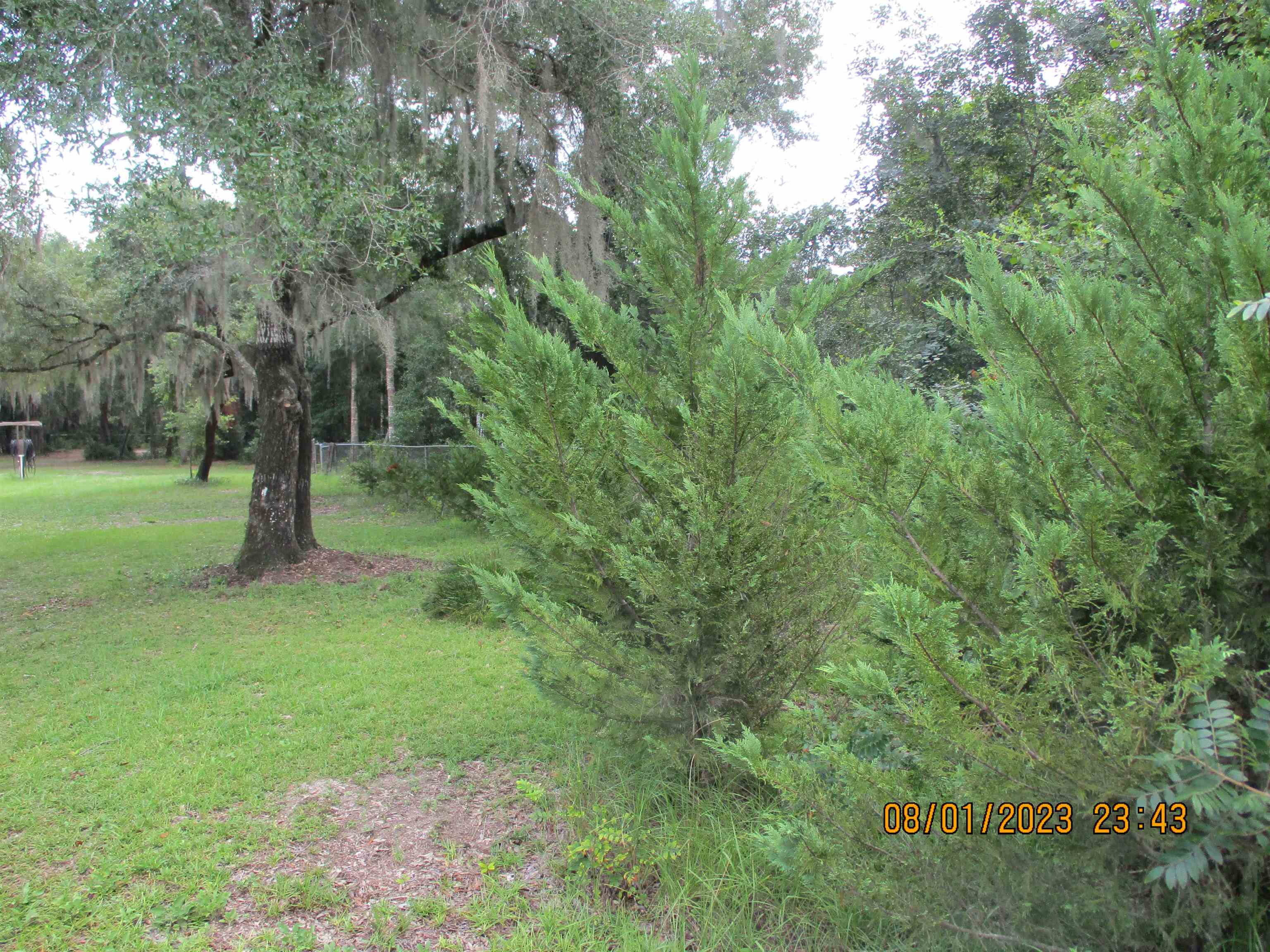 15490 Snapper St,PERRY,Florida 32348,Lots and land,Snapper St,362502