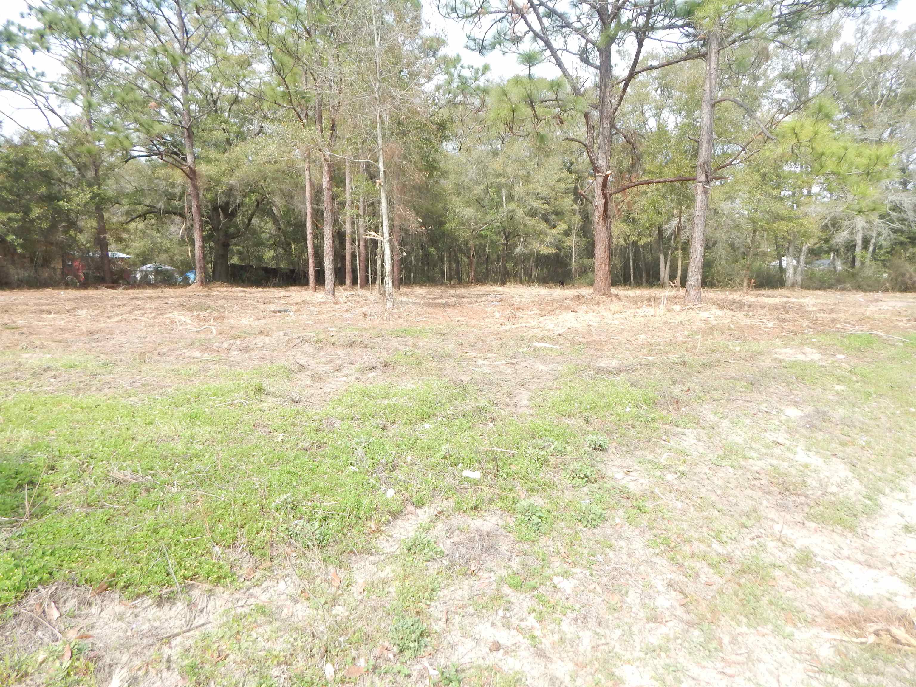 XX Patty Lynn,TALLAHASSEE,Florida 32305,Lots and land,Patty Lynn,367003