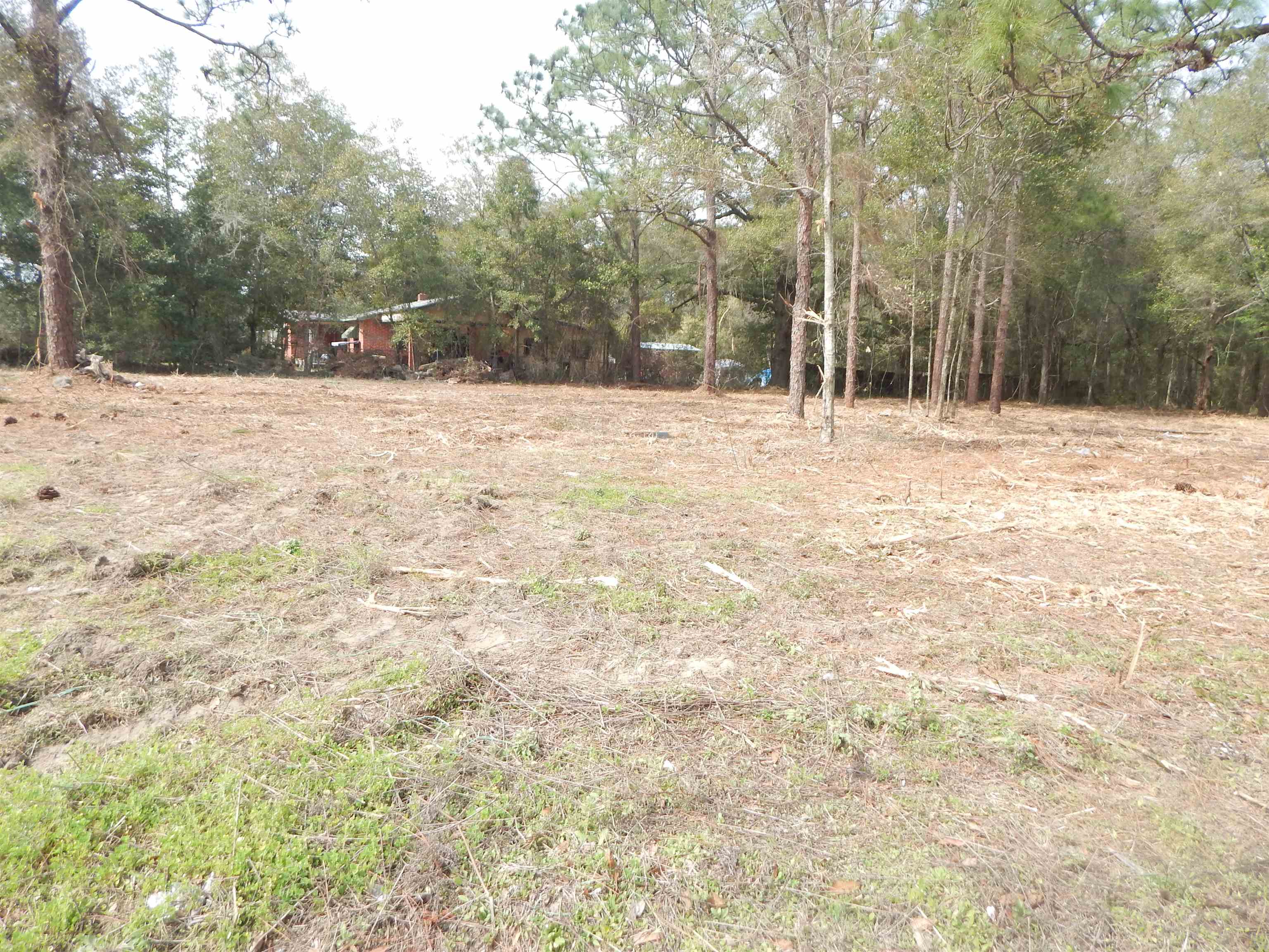 XX Patty Lynn,TALLAHASSEE,Florida 32305,Lots and land,Patty Lynn,367003