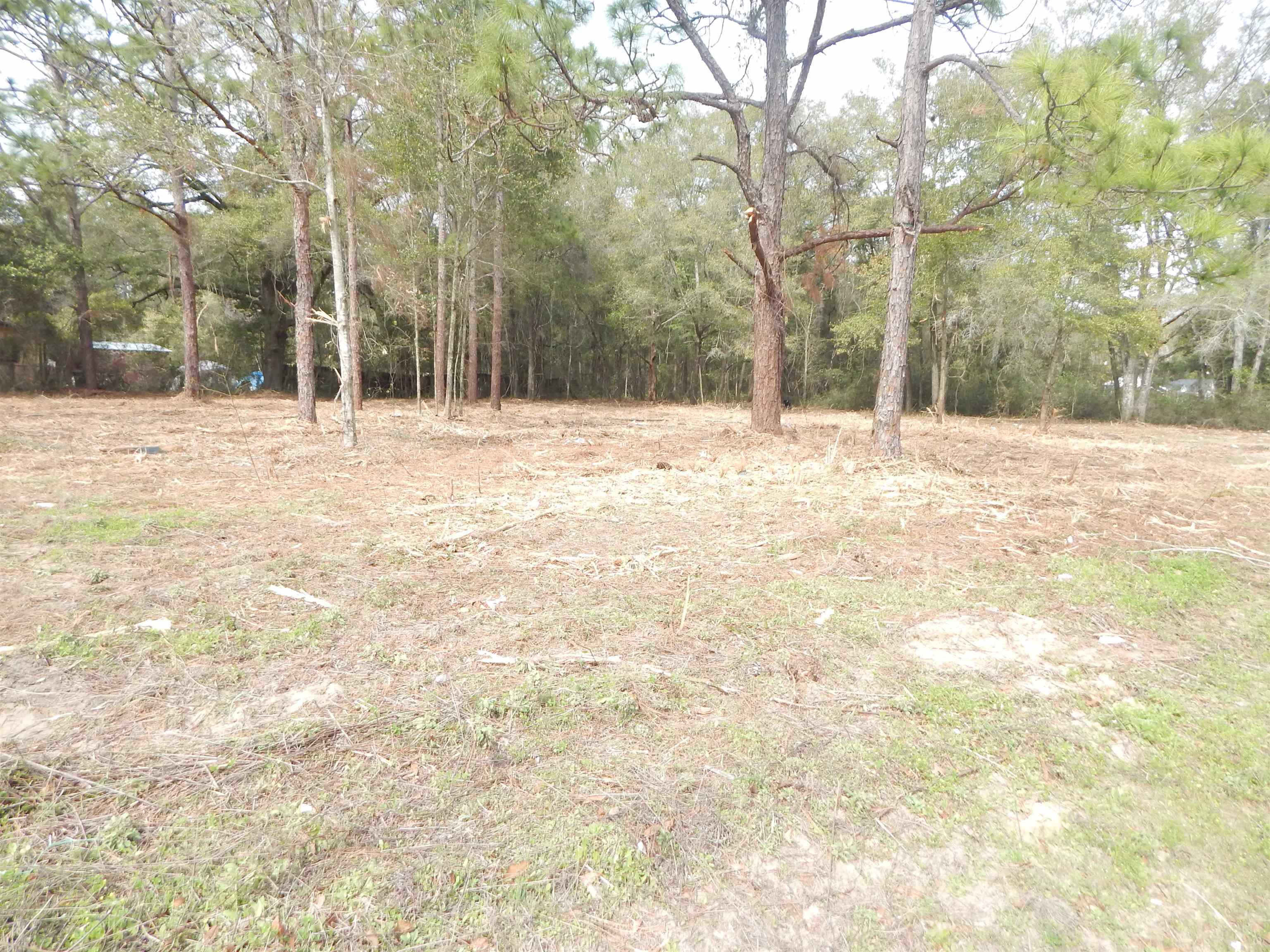 XX Patty Lynn,TALLAHASSEE,Florida 32305,Lots and land,Patty Lynn,367003