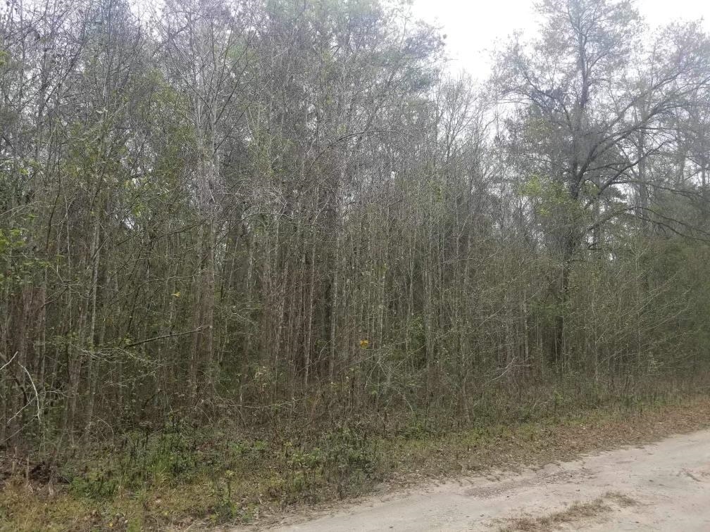 16545 128,OTHER FLORIDA,Florida 32686,Lots and land,128,369205