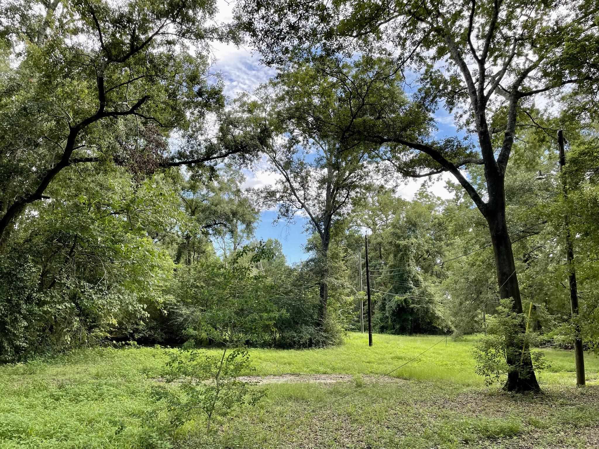 2509 Meridian,TALLAHASSEE,Florida 32301,Lots and land,Meridian,362547