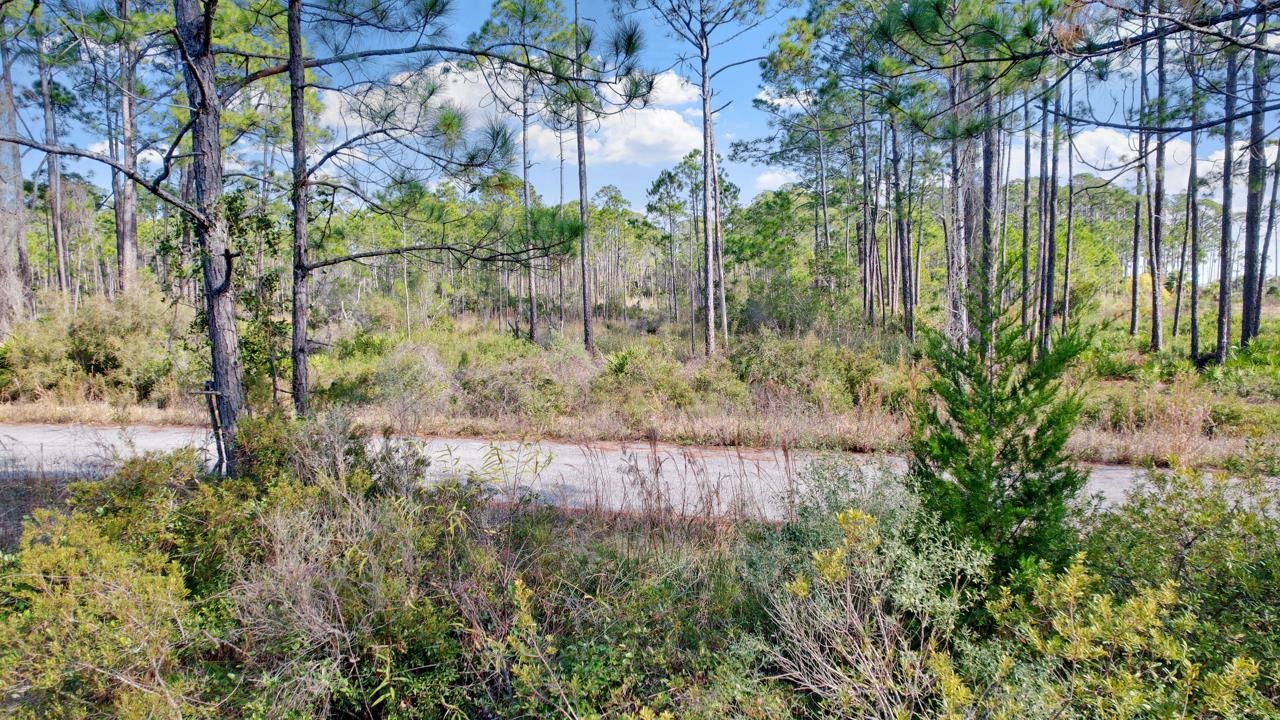 2331 Highway 98,CARRABELLE,Florida 32322,Lots and land,Highway 98,367019