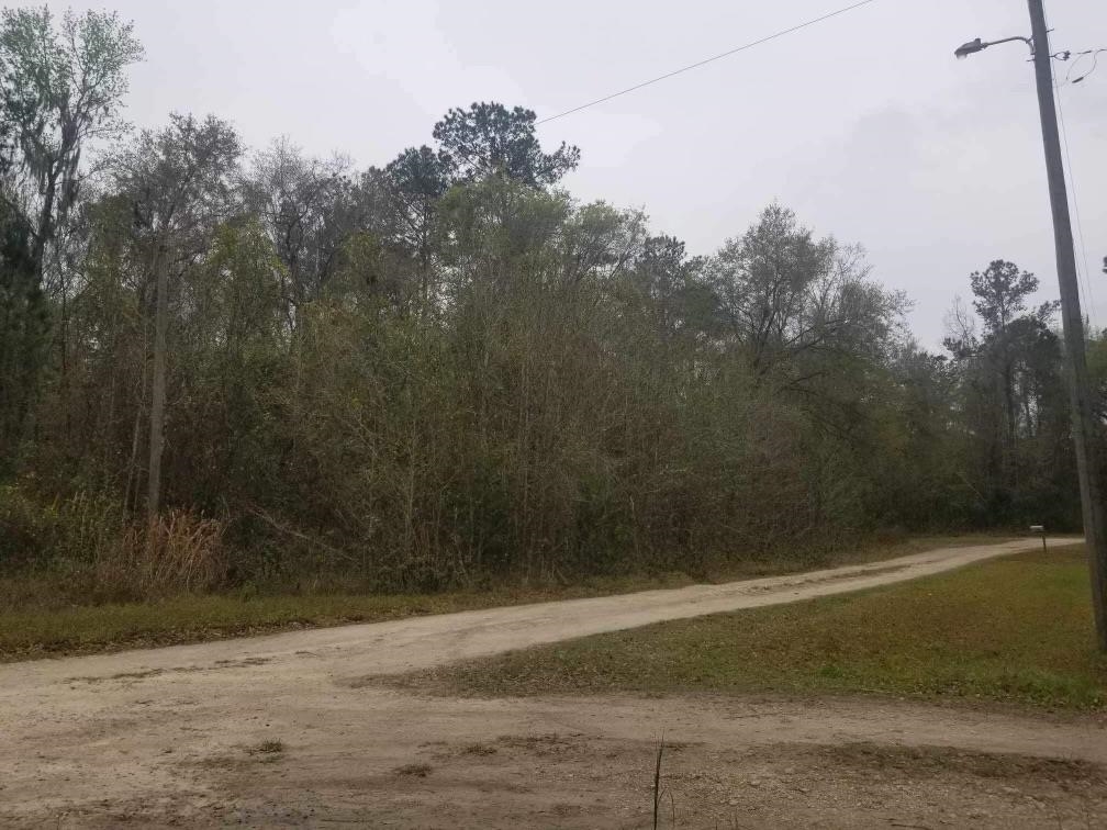 xxx 128,OTHER FLORIDA,Florida 32686,Lots and land,128,369207