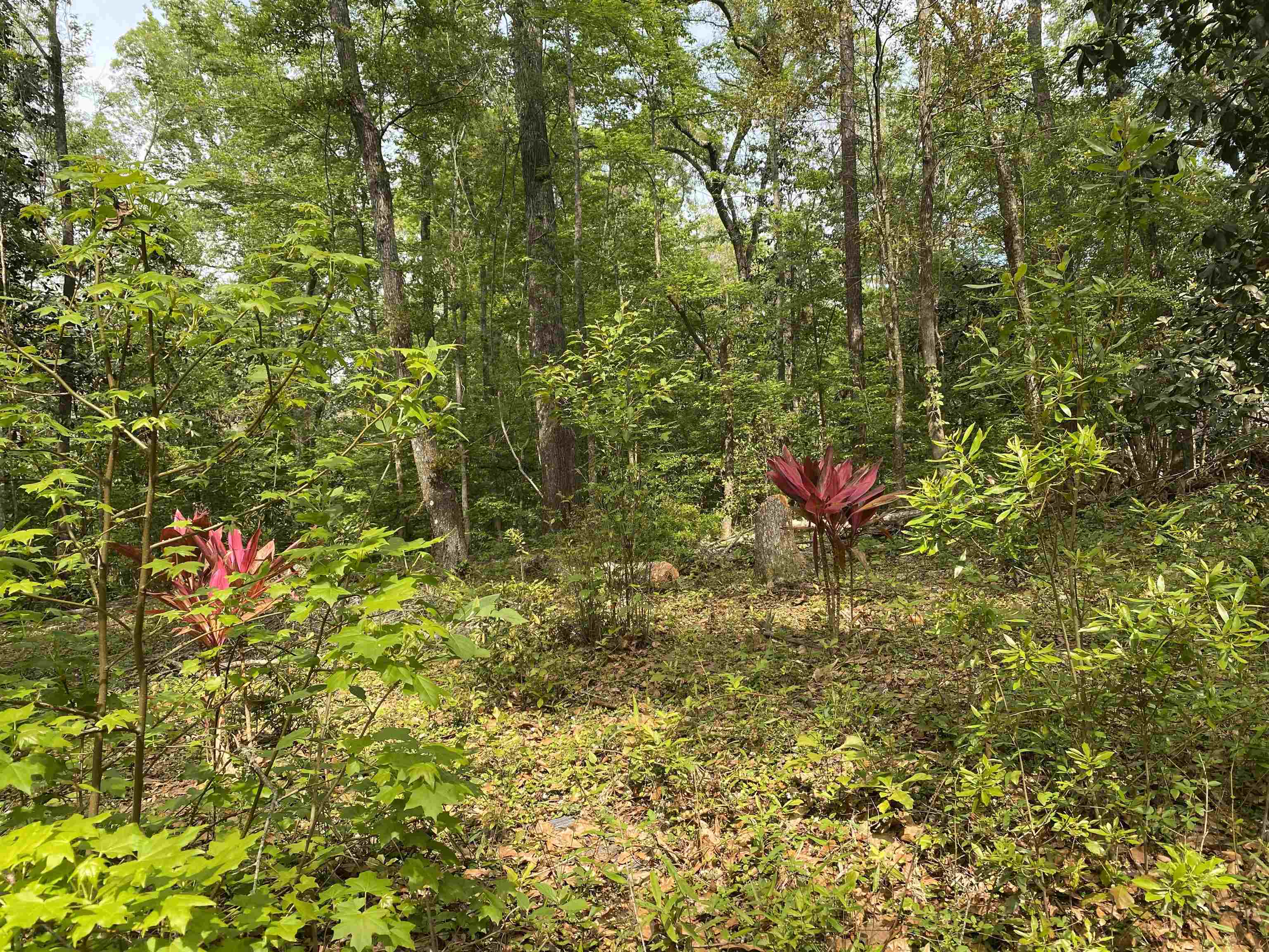 Lot 14 Crestwood Drive,TALLAHASSEE,Florida 32311,Lots and land,Crestwood Drive,362571