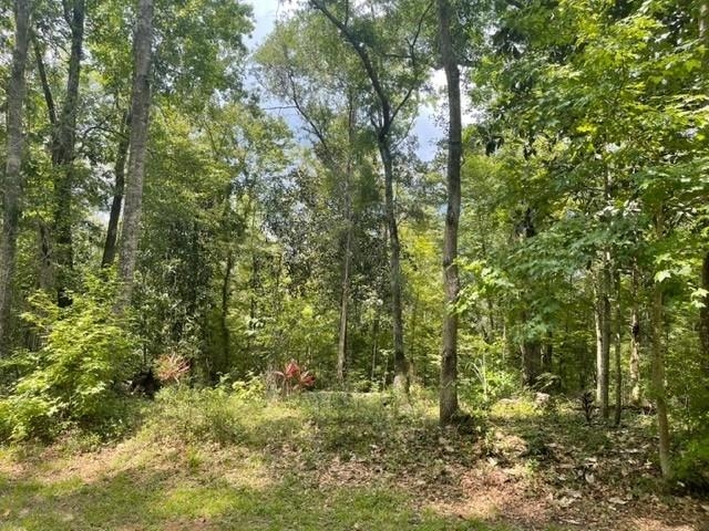 Lot 14 Crestwood Drive,TALLAHASSEE,Florida 32311,Lots and land,Crestwood Drive,362571