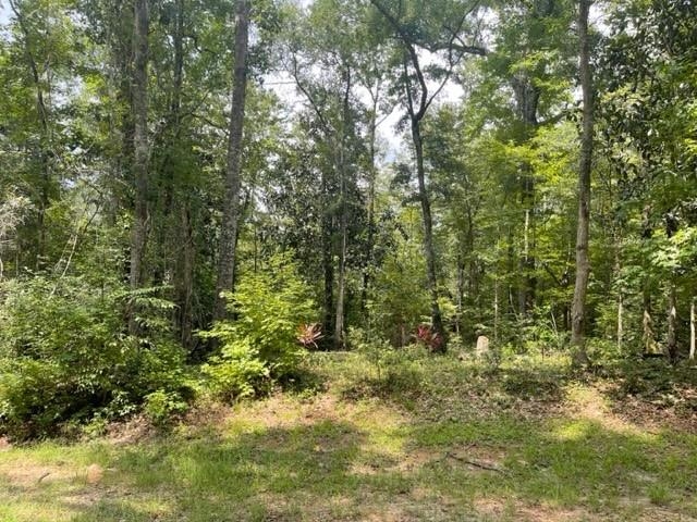 Lot 14 Crestwood Drive,TALLAHASSEE,Florida 32311,Lots and land,Crestwood Drive,362571