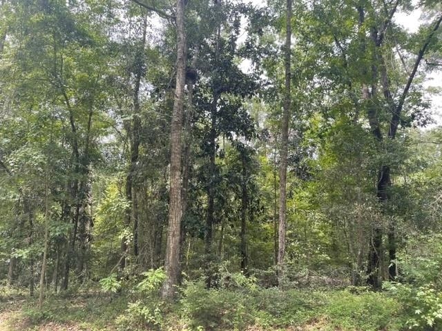 Lot 14 Crestwood Drive,TALLAHASSEE,Florida 32311,Lots and land,Crestwood Drive,362571