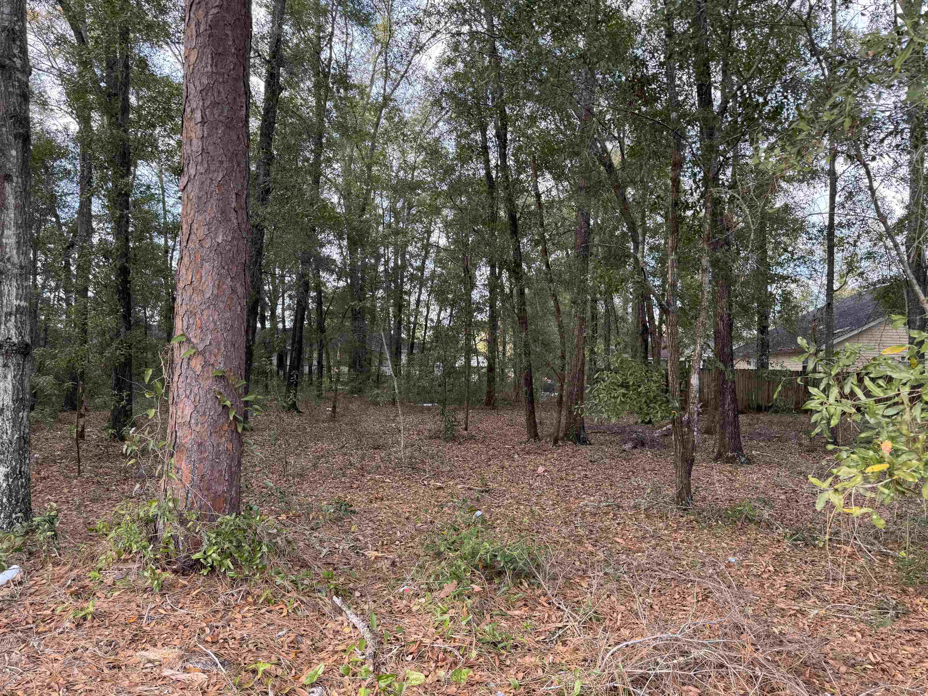 Ross,TALLAHASSEE,Florida 32305,Lots and land,Ross,369226